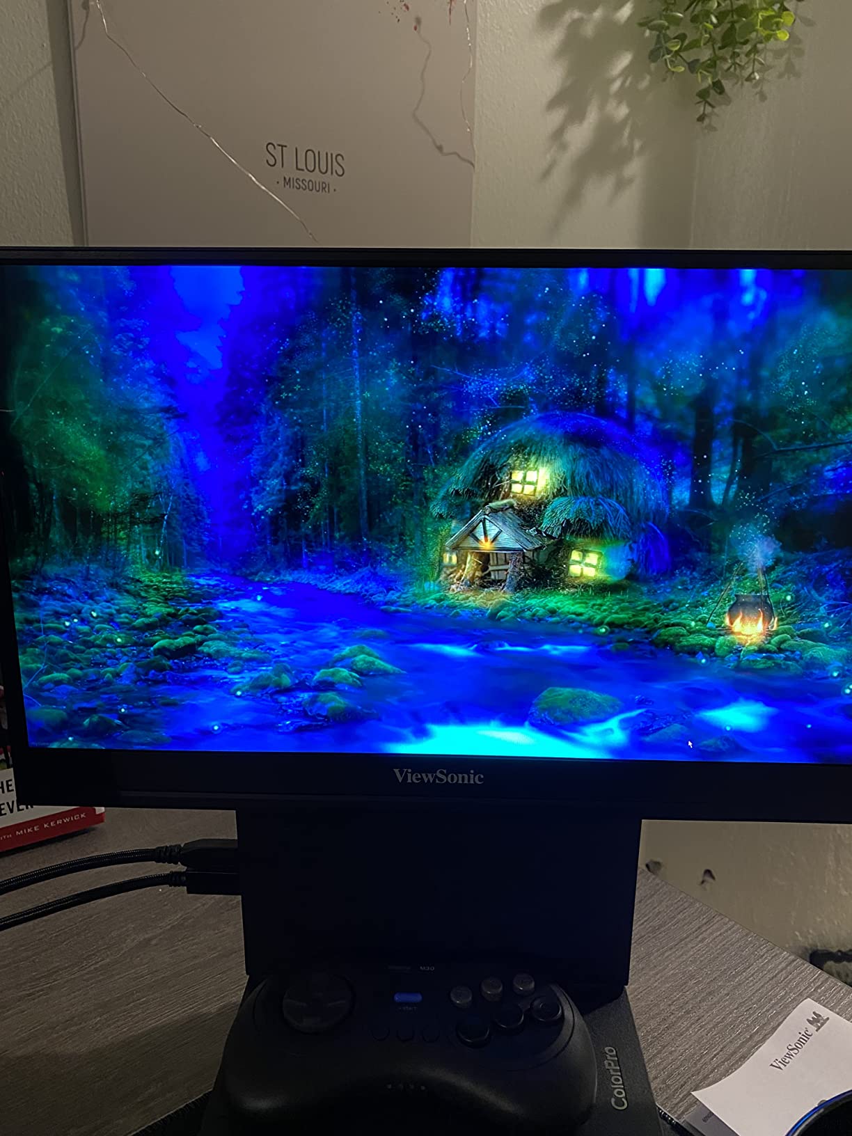 ViewSonic VP16-OLED 15.6 Inch 1080p Portable OLED Monitor - Customer Photo 3