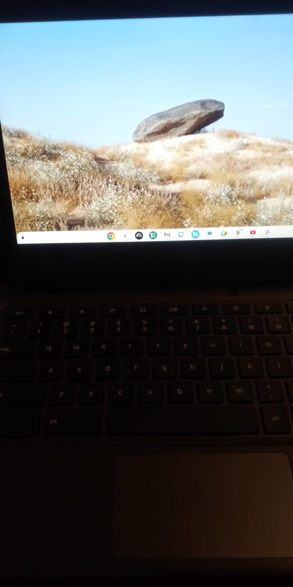Dell Chromebook 11 3100 11.6