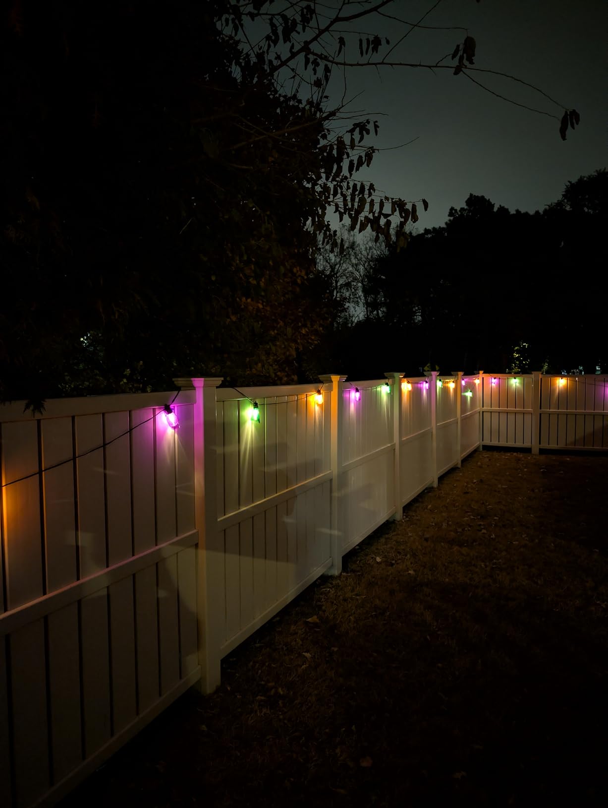 addlon 54FT(48+6) Solar String Lights Outdoor Waterproof with USB Charging & Remote Control - Dimmable Solar Power Patio Lights with LED Bulbs for Porch, Garden, Yard, Market, Bistro - Last for 20+Hrs - Customer Photo 1