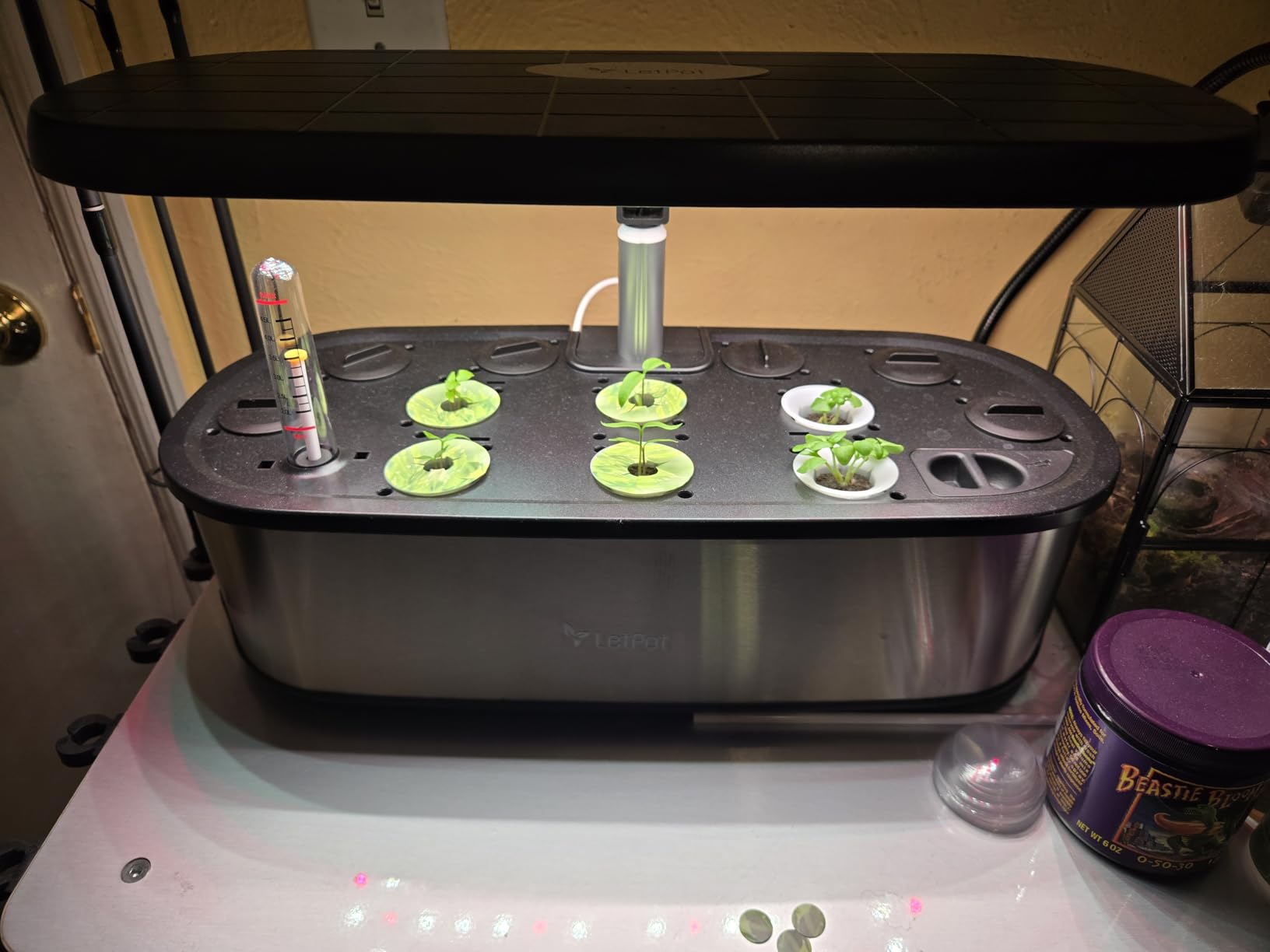 LetPot LPH-SE Hydroponics Growing System, 12 Pods Smart Herb Garden Kit Indoor, Indoor Garden, APP & WiFi Controlled, with 24W Growing LED, 5.5L Water Tank, Pump System, Automatic Timer - Customer Photo 4