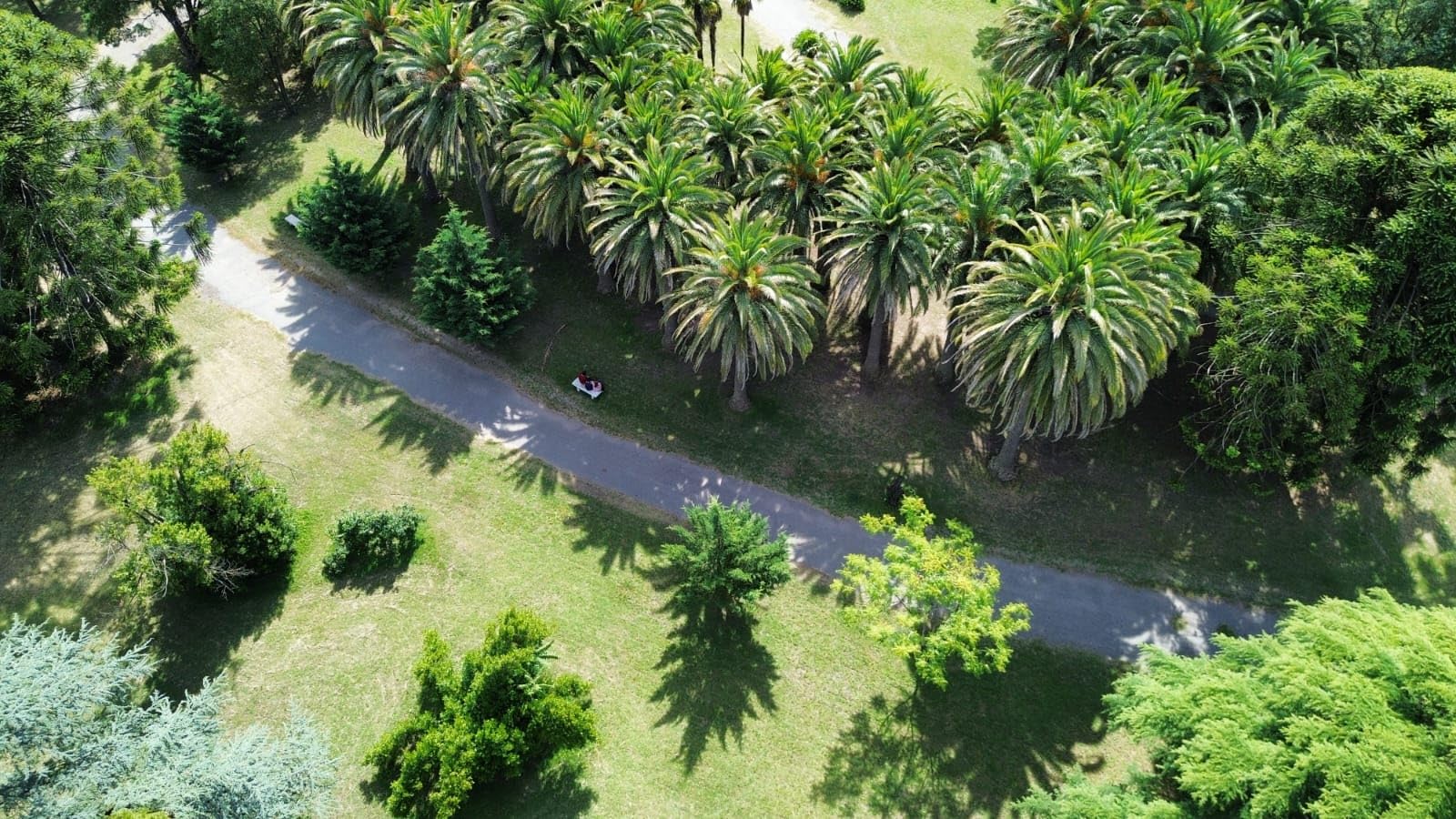 DJI Mini 3 (DJI RC), Lightweight 3x Mechanical Gimbal Drones with Camera for Adults 4K, 38-min Flight Time, up to 32800ft (10km) Video Transmission, Vertical Shooting, GPS Auto Return Integrated - Customer Photo 3