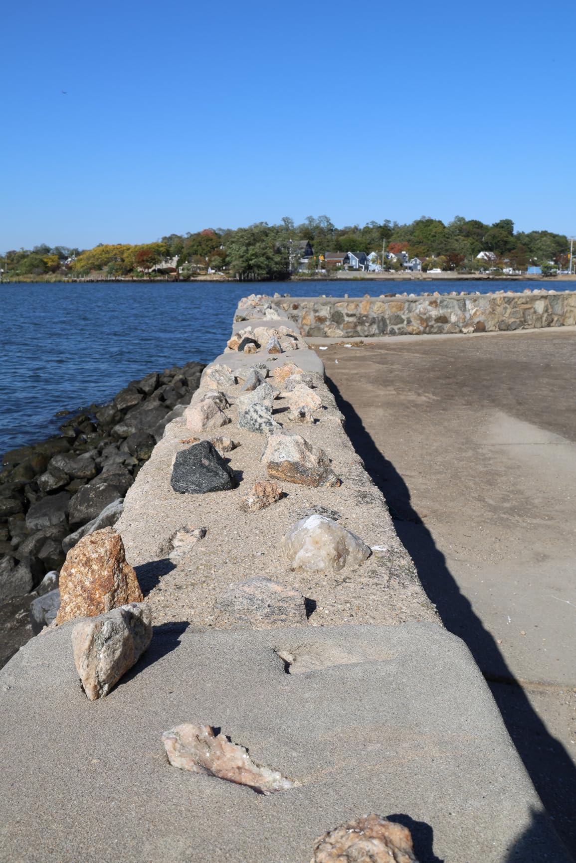 Canon EOS R6 Mark II Mirrorless Camera RF24-105mm F4-7.1 is STM Lens Kit, Full-Frame Hybrid Camera, 24.2 Megapixel CMOS Sensor, Photo and Video Capabilities, Black customer photo 2