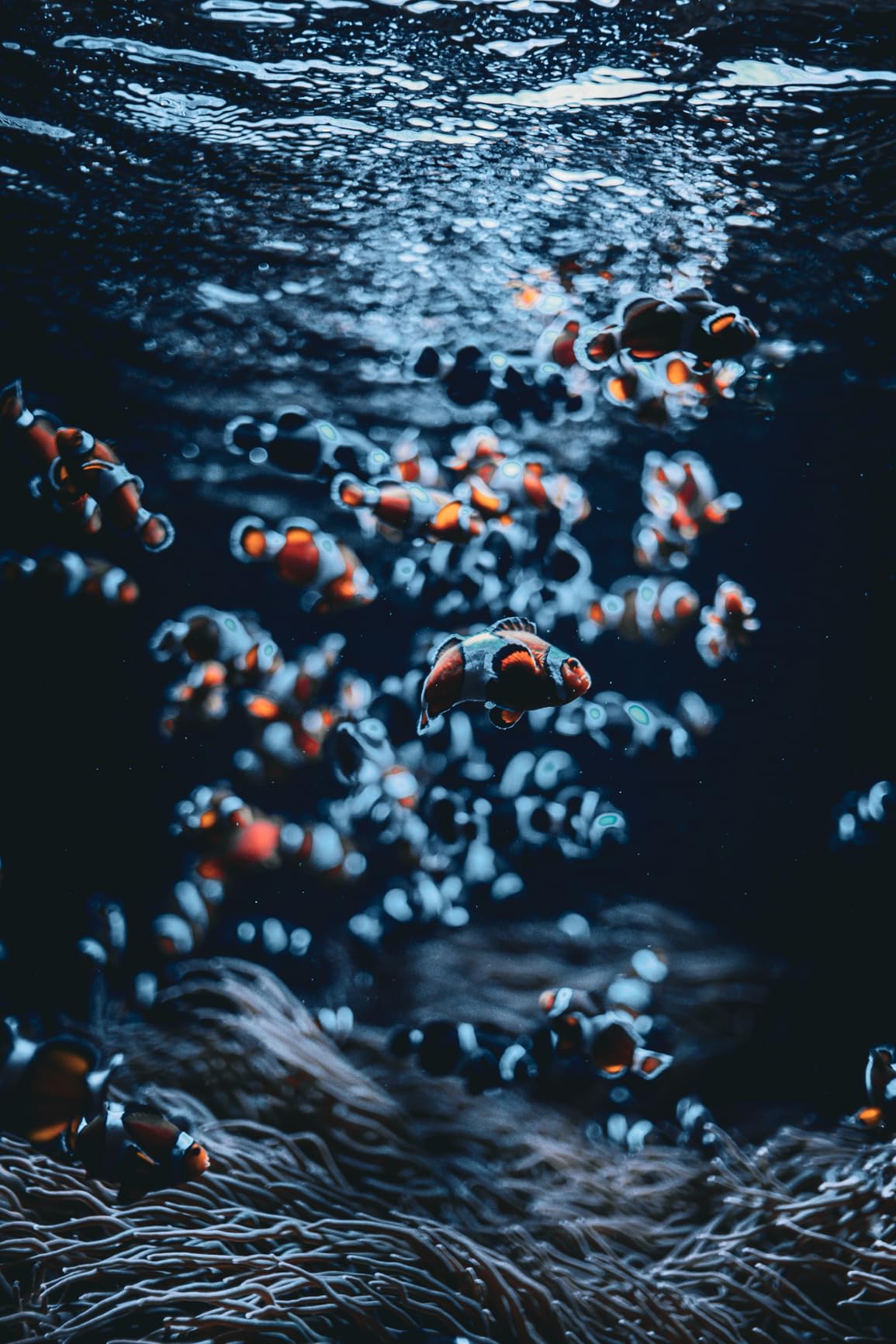 Canon EOS R6 Mark II Mirrorless Camera (Body Only), Full-Frame Camera, 24.2 Megapixel CMOS Sensor, Photo and Video Capabilities, Black - Customer Photo 2