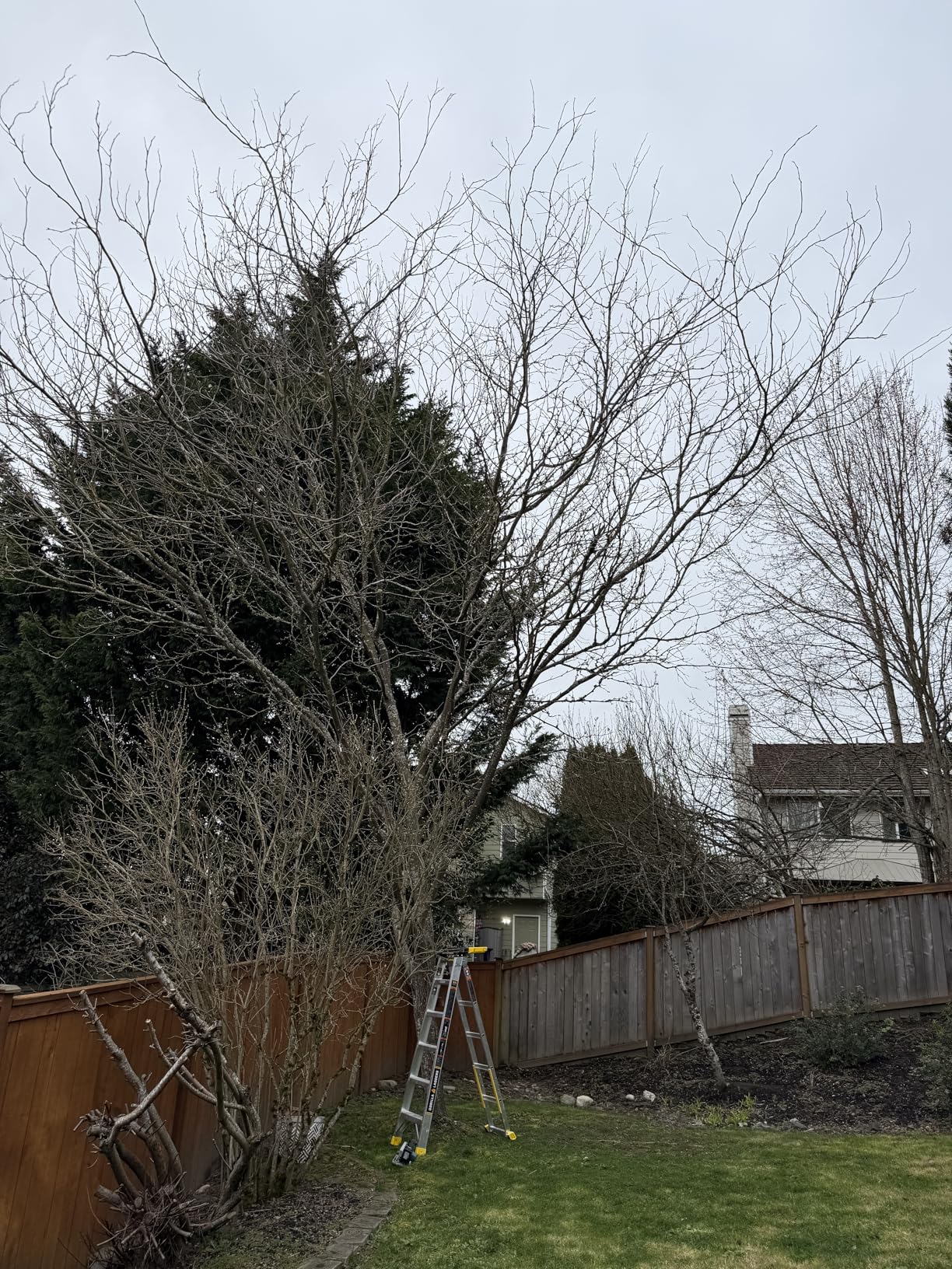 Makita XRJ08Z 18V LXT Lithium-Ion Brushless Cordless Compact One-Handed Recipro Saw, Tool Only - Customer Photo 1