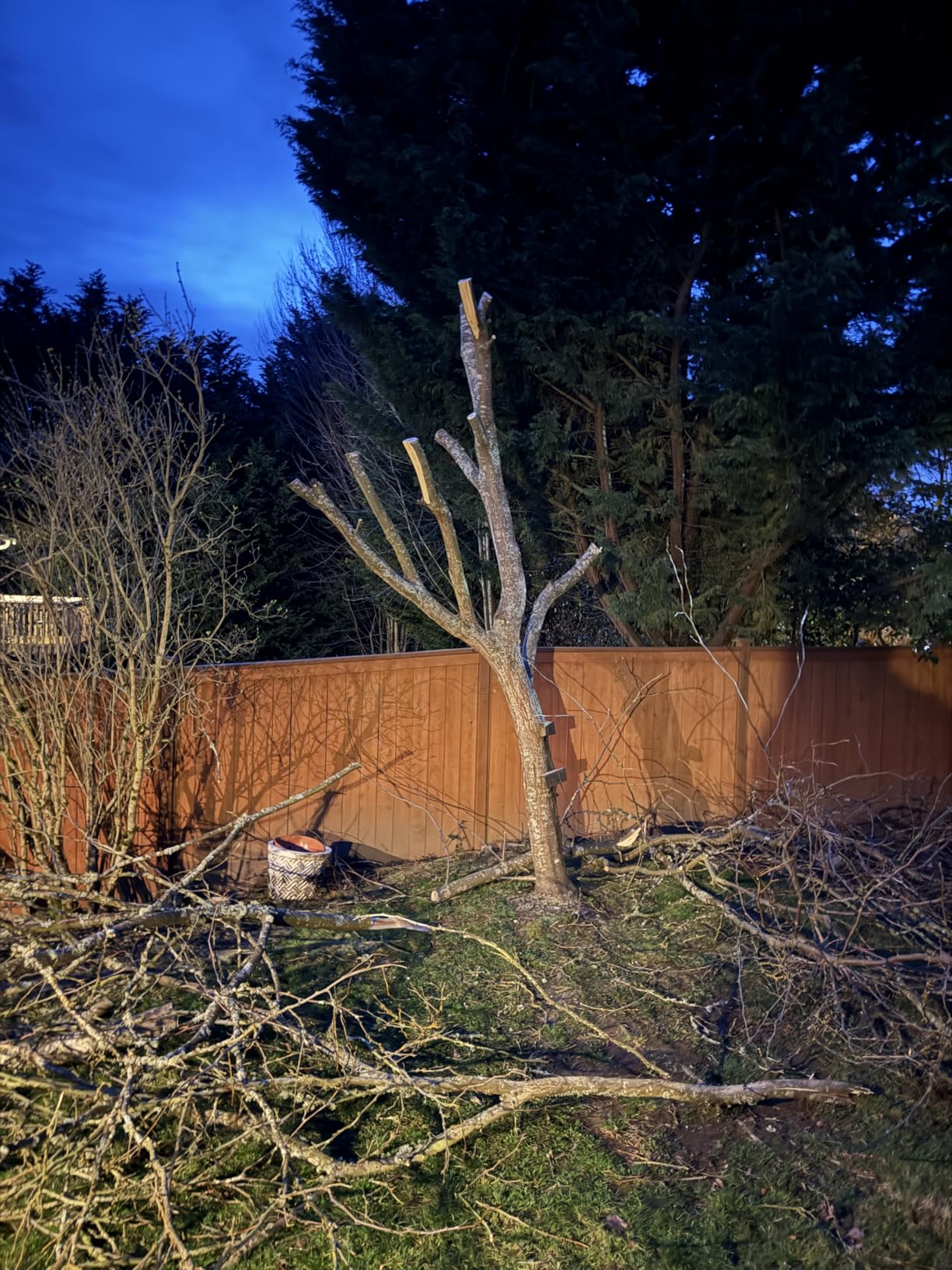 Makita XRJ08Z 18V LXT Lithium-Ion Brushless Cordless Compact One-Handed Recipro Saw, Tool Only - Customer Photo 2