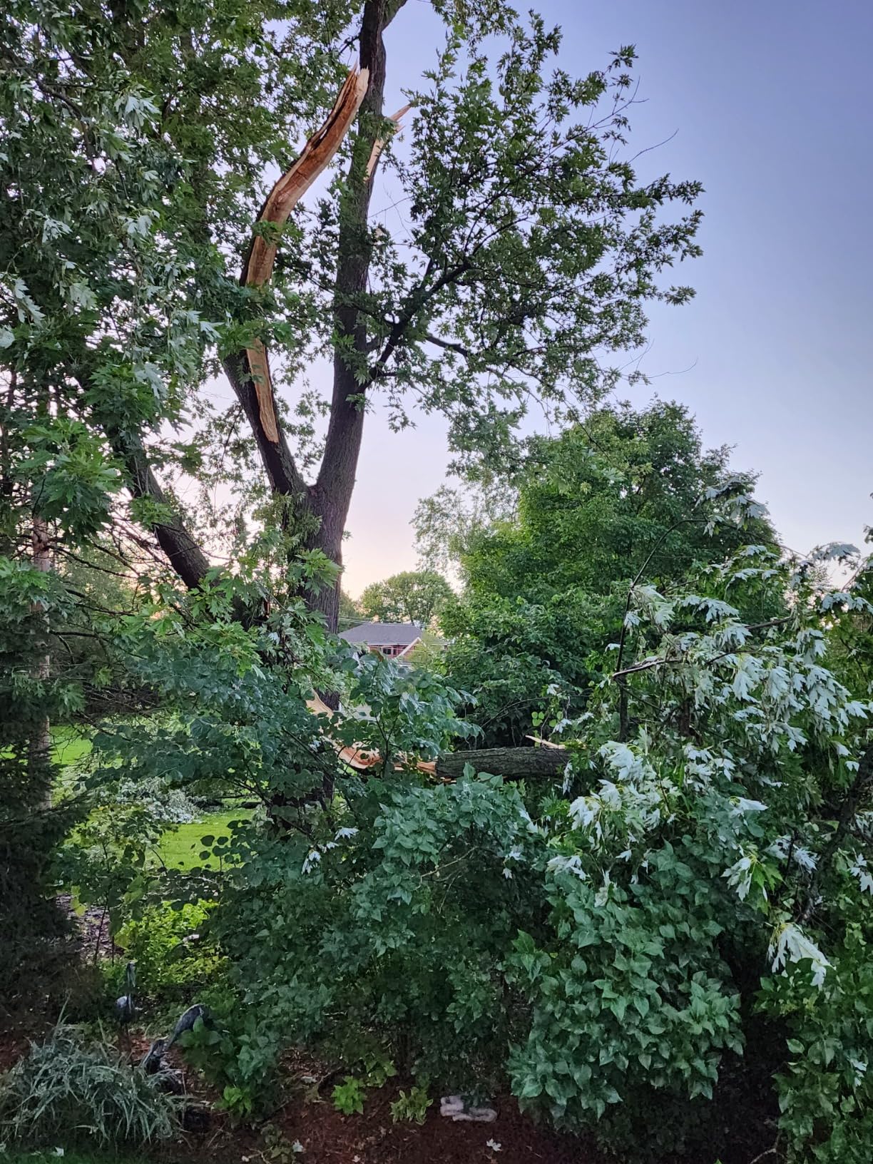 Makita XCU11Z 18V LXT Brushless Cordless 14 Chain Saw (Tool Only) - Customer Photo 3