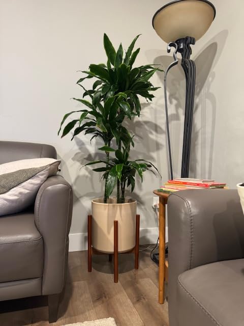 LE TAUCI 12 Inch Pot for Plants, Ceramic Planters for Indoor Plants, Mid-Century Modern Cylinder Flower Pots with Drainage Hole, Fits Fiddle Leaf Fig & Monstera, Home Decor, Midnight Blue - Customer Photo 5