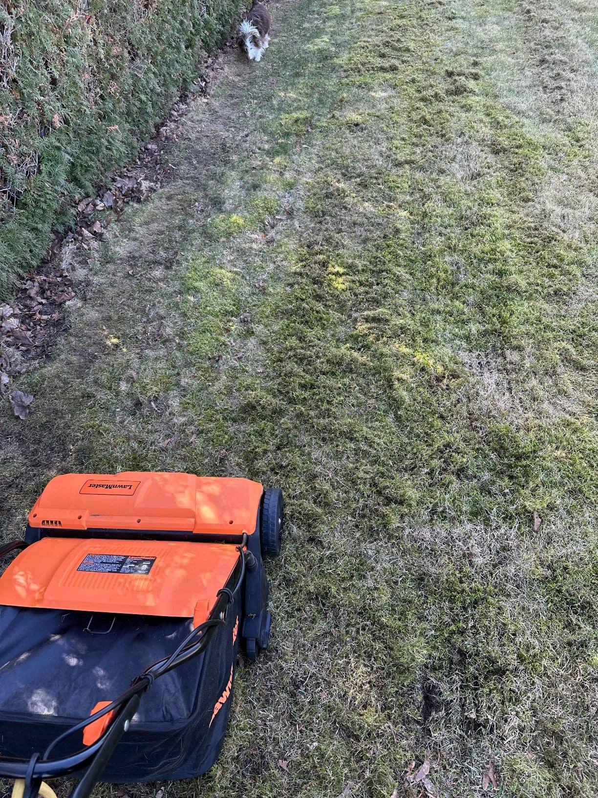 LawnMaster GVB1316 Electric 16