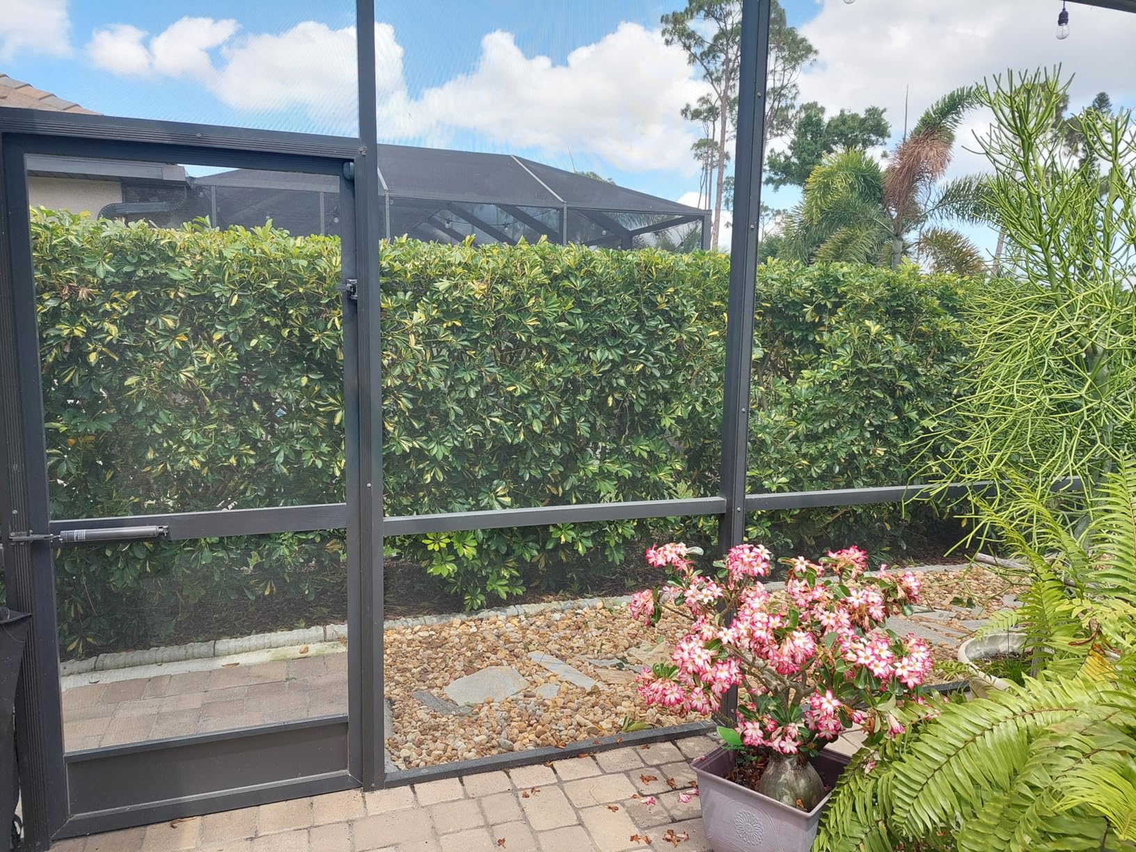 EGO Power+ Hedge Trimmer Cordless, Electric Hedge Trimmer 26