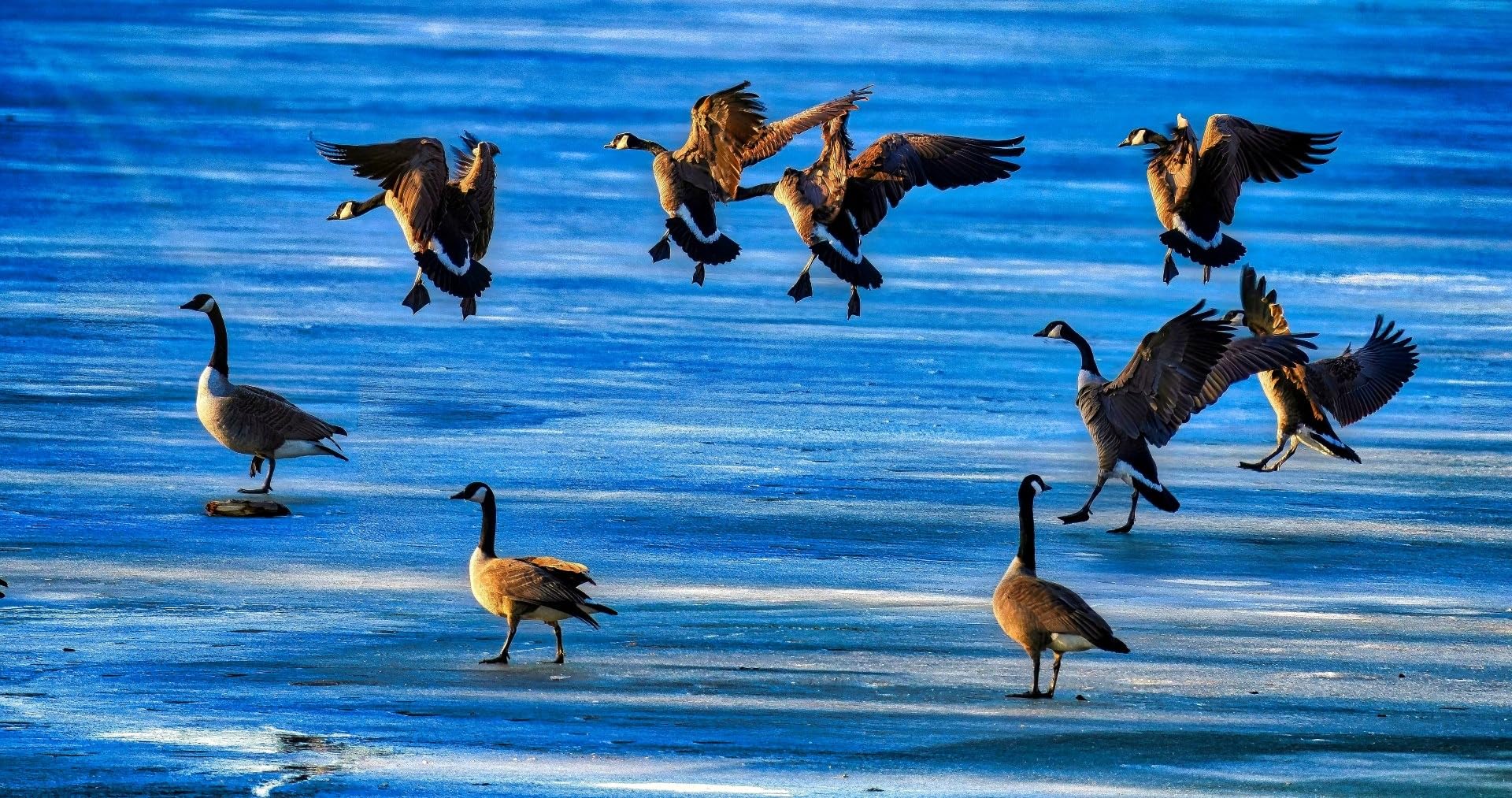 Sigma 60-600mm F4.5-6.3 DG DN OS for Sony E Mount - Customer Photo 1