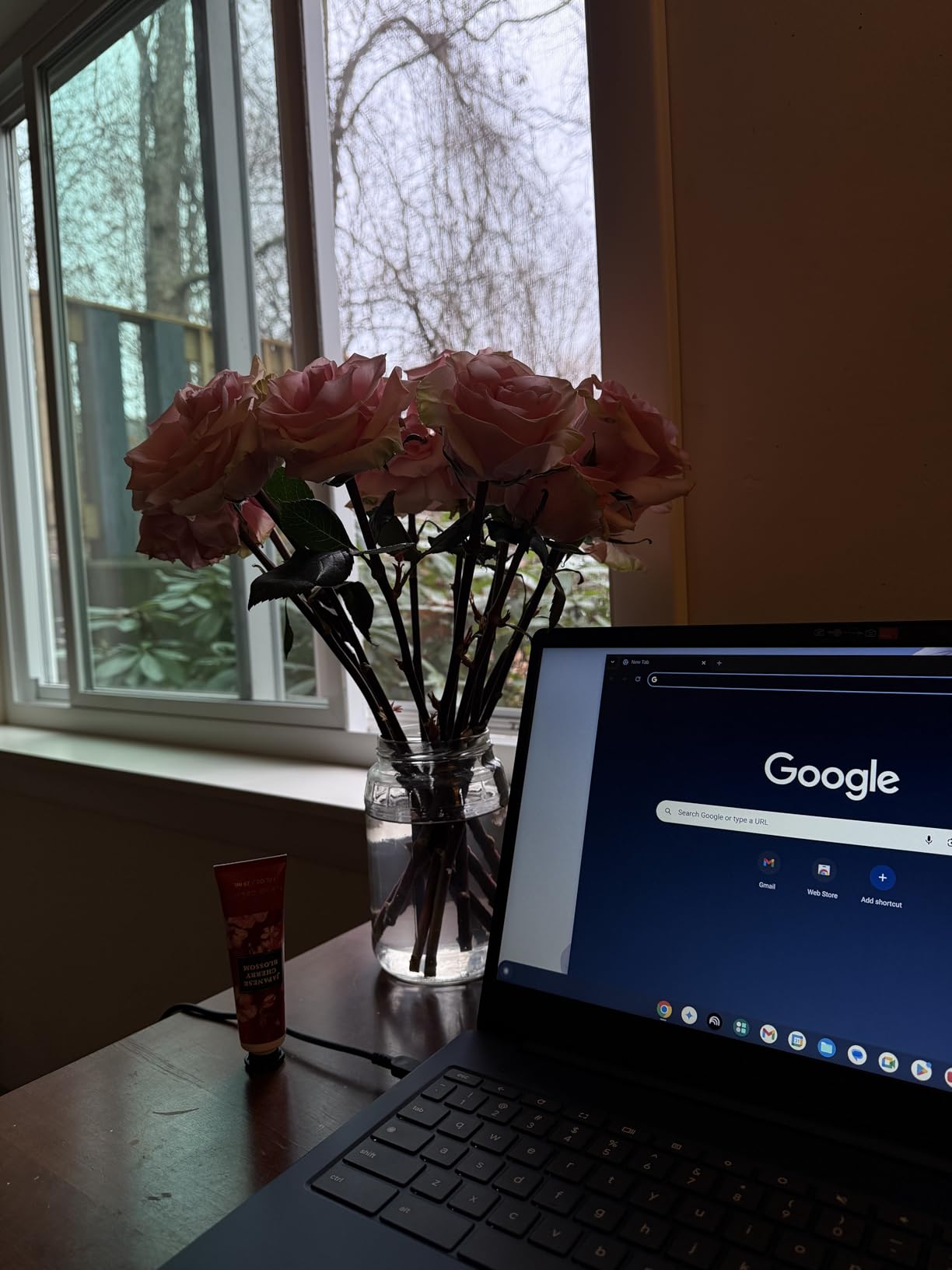 Lenovo IdeaPad 3i Chromebook, 15.6” FHD Display, Intel Celeron N4500, 8GB RAM, 64GB eMMC, 1920x1080 px, 720p Camera, Chrome OS, Abyss Blue - Customer Photo 2