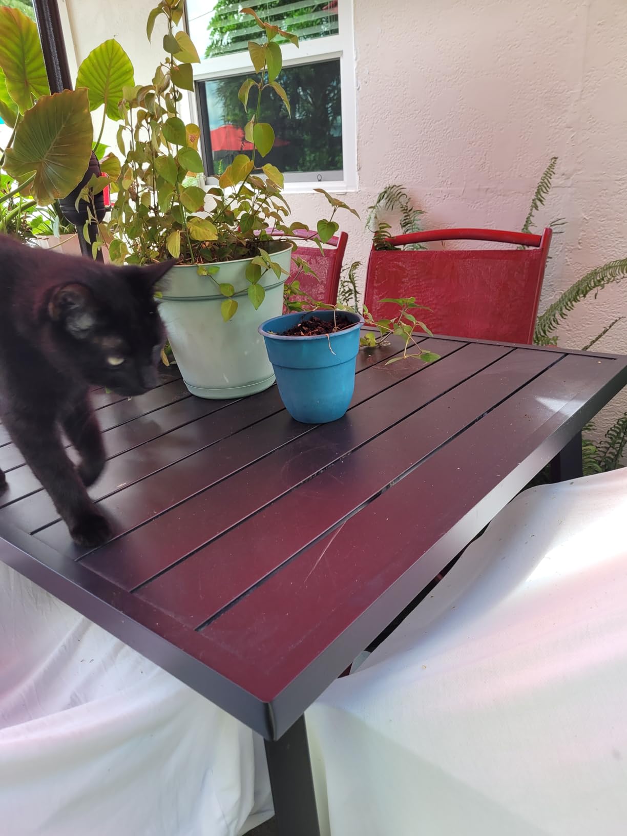 PHI VILLA 7 Piece Outoor Bar Dining Set, High Top Patio Bar Table and Chairs Set with 6 Outdoor Swivel Bar Stools & 40