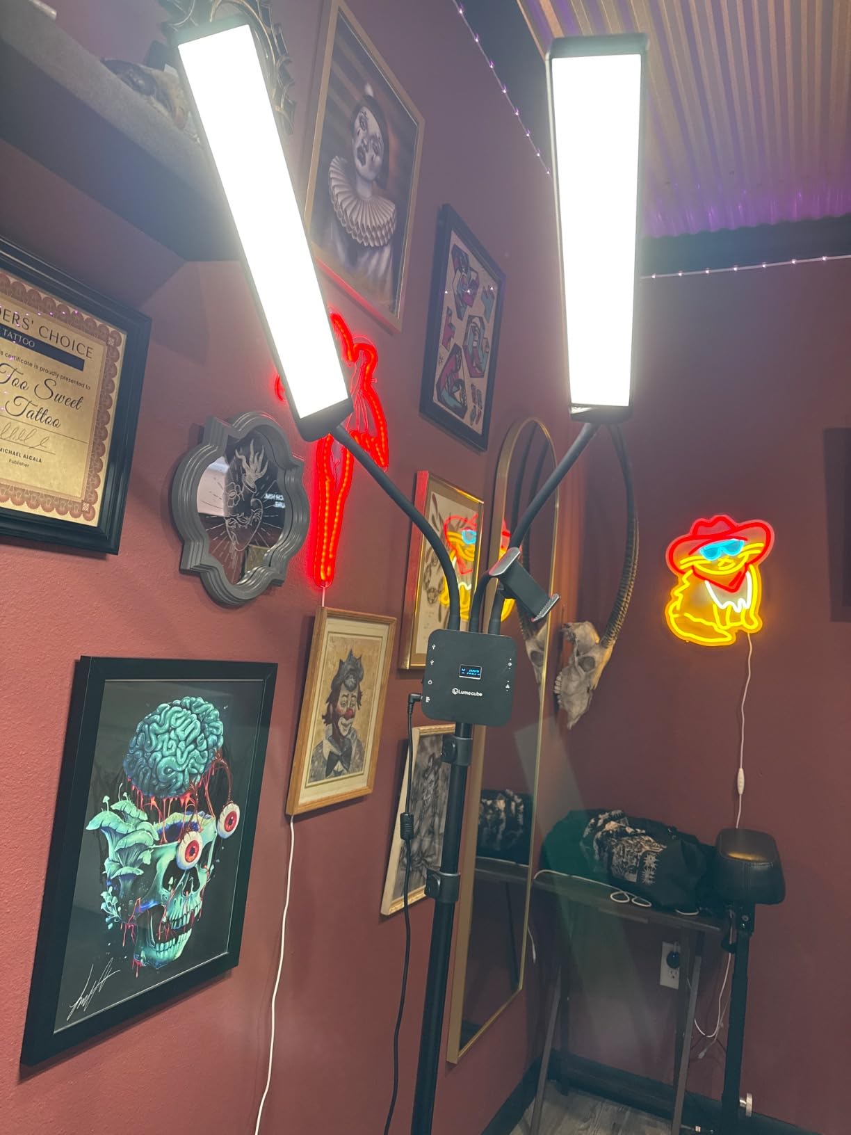 Lume Cube Flex Light Pro - Portable Dual LED Lamp with Tripod and Phone Holder Mount | Flexible 2-Point LED Lights for Tattoo Artists, Beauticians, aestheticians, lash Artists, and Content Creators - Customer Photo 1