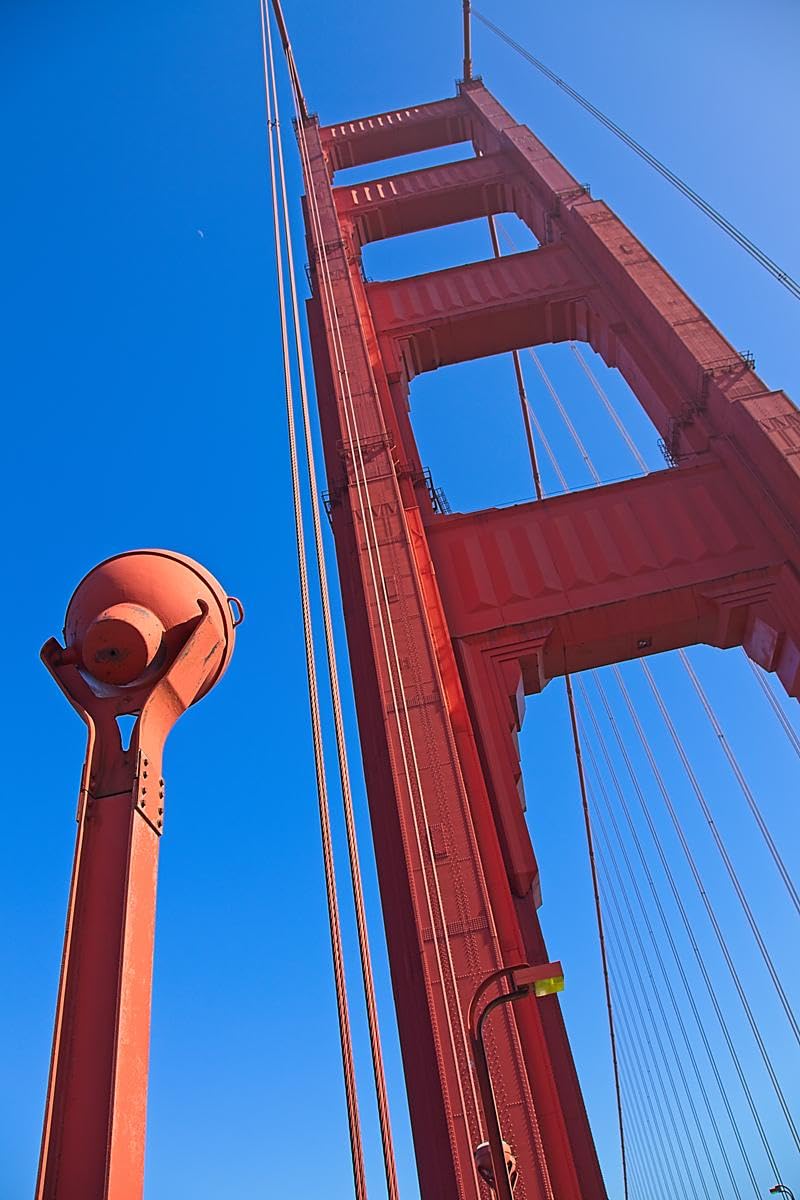 Canon EOS R8 Mirrorless Camera Body - Customer Photo 1