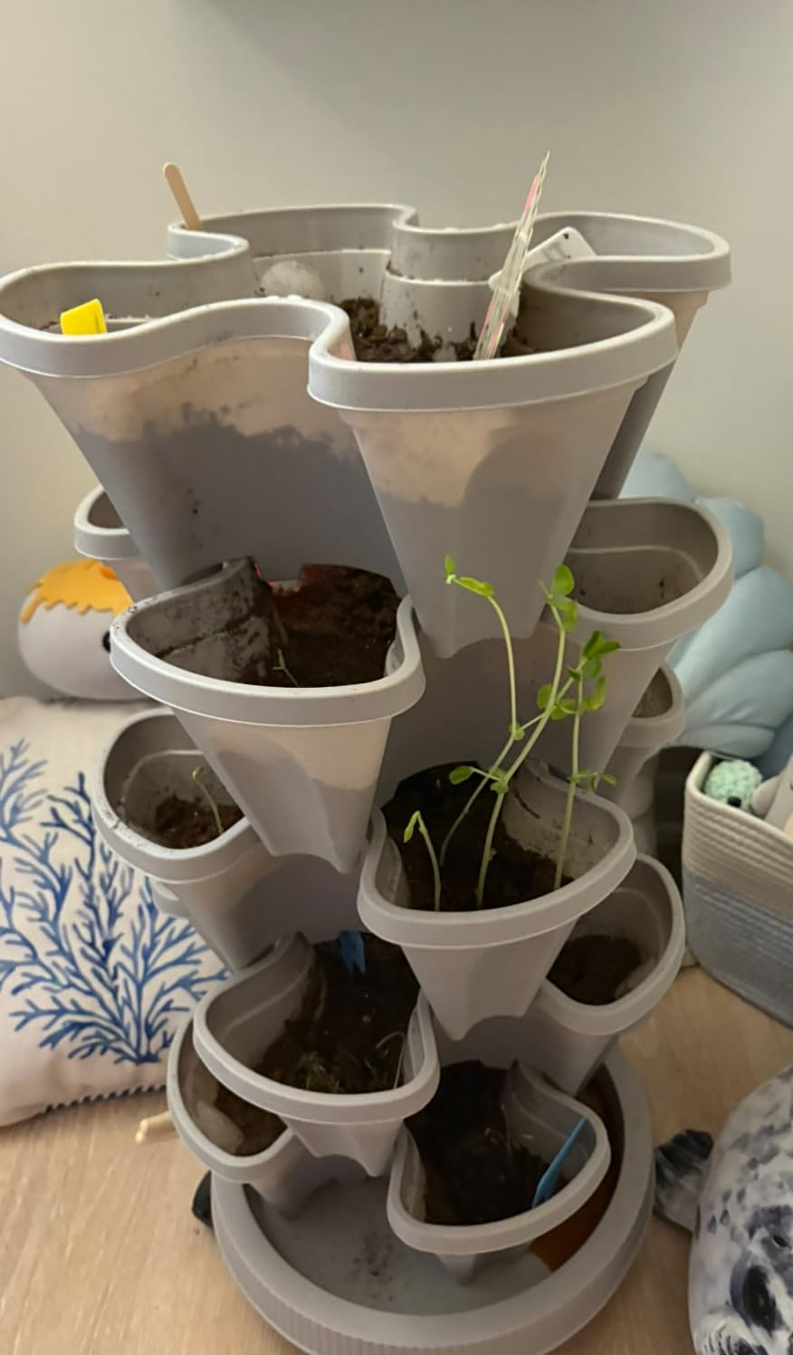 GameXcel Vertical Planter 5 Tier Stackable Planters Garden Planters Strawberry Herb Flower and Vegetable Planter Indoor Outdoor Gardening Pots with Removable Wheels and Tools - Customer Photo 2