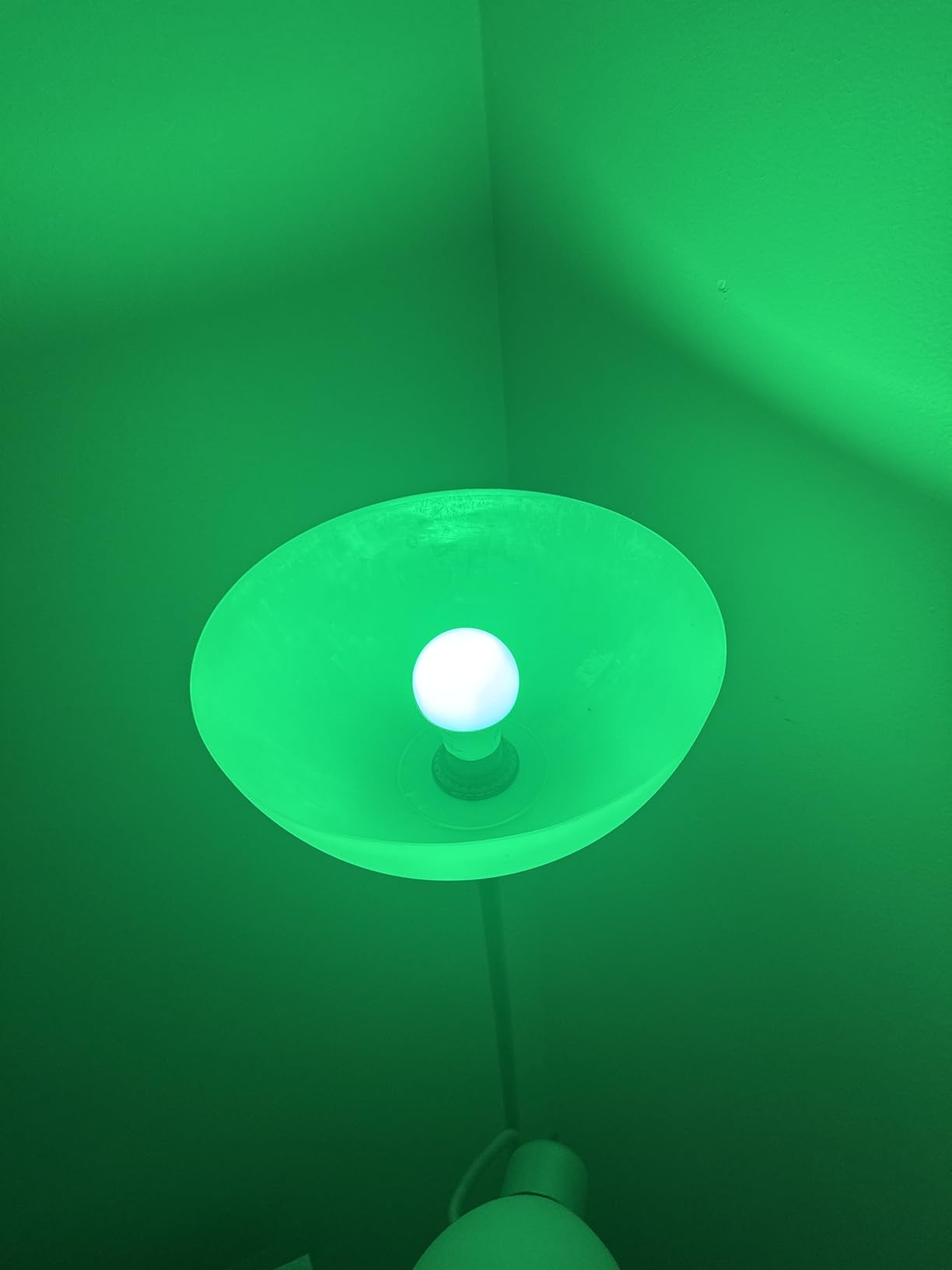 OREiN Matter Smart Light Bulb, Smart Light Bulbs Work with Apple Home, Alexa, Google Home, SmartThings, A19 Color Changing Light Bulbs 2.4Ghz WiFi, 800 Lumens Equivalent 60W 4Pack - Customer Photo 1