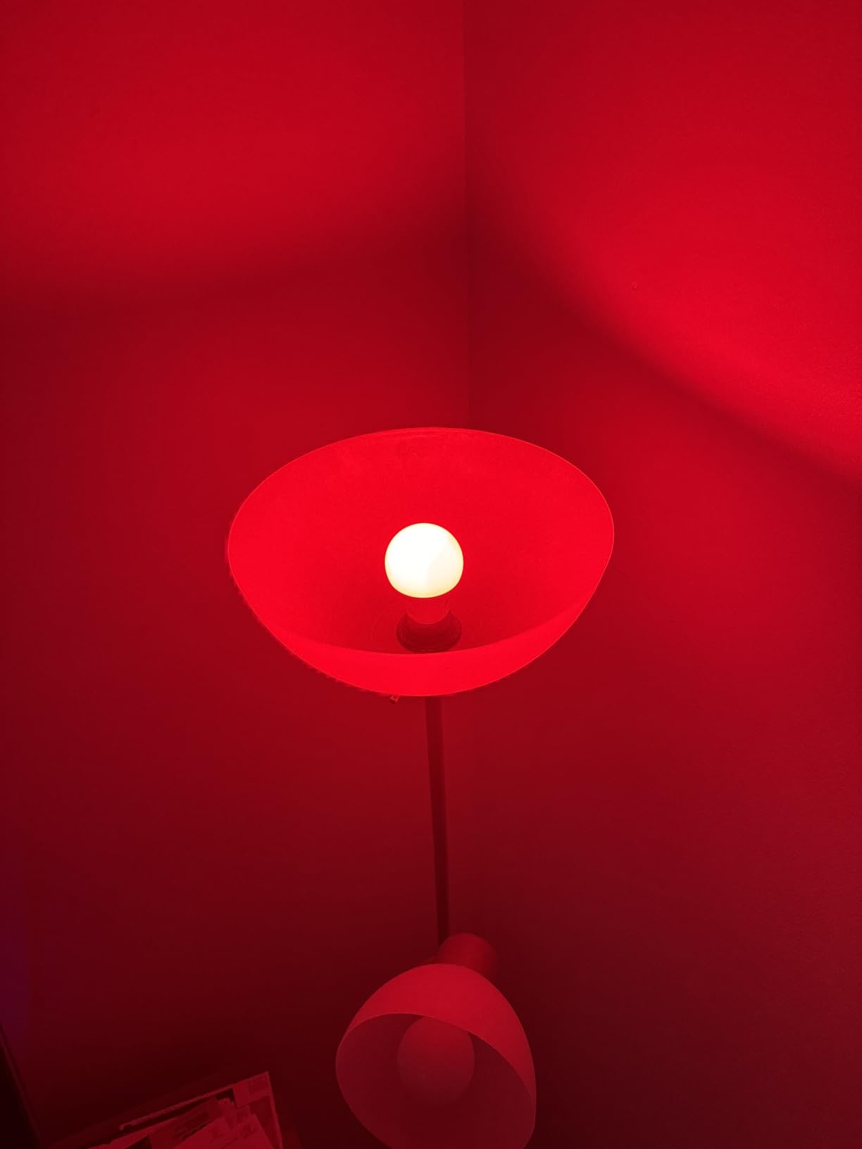 OREiN Matter Smart Light Bulb, Smart Light Bulbs Work with Apple Home, Alexa, Google Home, SmartThings, A19 Color Changing Light Bulbs 2.4Ghz WiFi, 800 Lumens Equivalent 60W 4Pack - Customer Photo 3