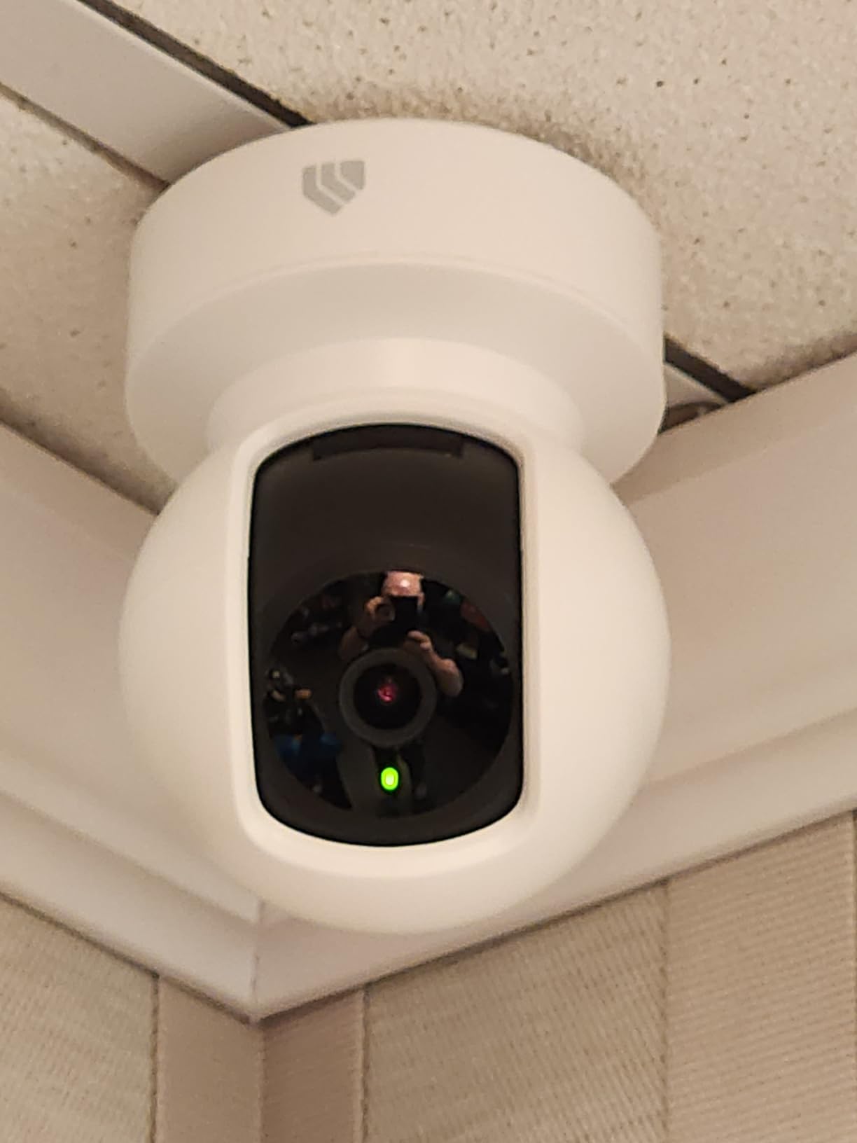 Kasa Smart Indoor Pan-Tilt Home Security Camera, 1080p HD Dog Camera w/Night Vision, Motion Detection for Baby & Pet Monitor - Customer Photo 1