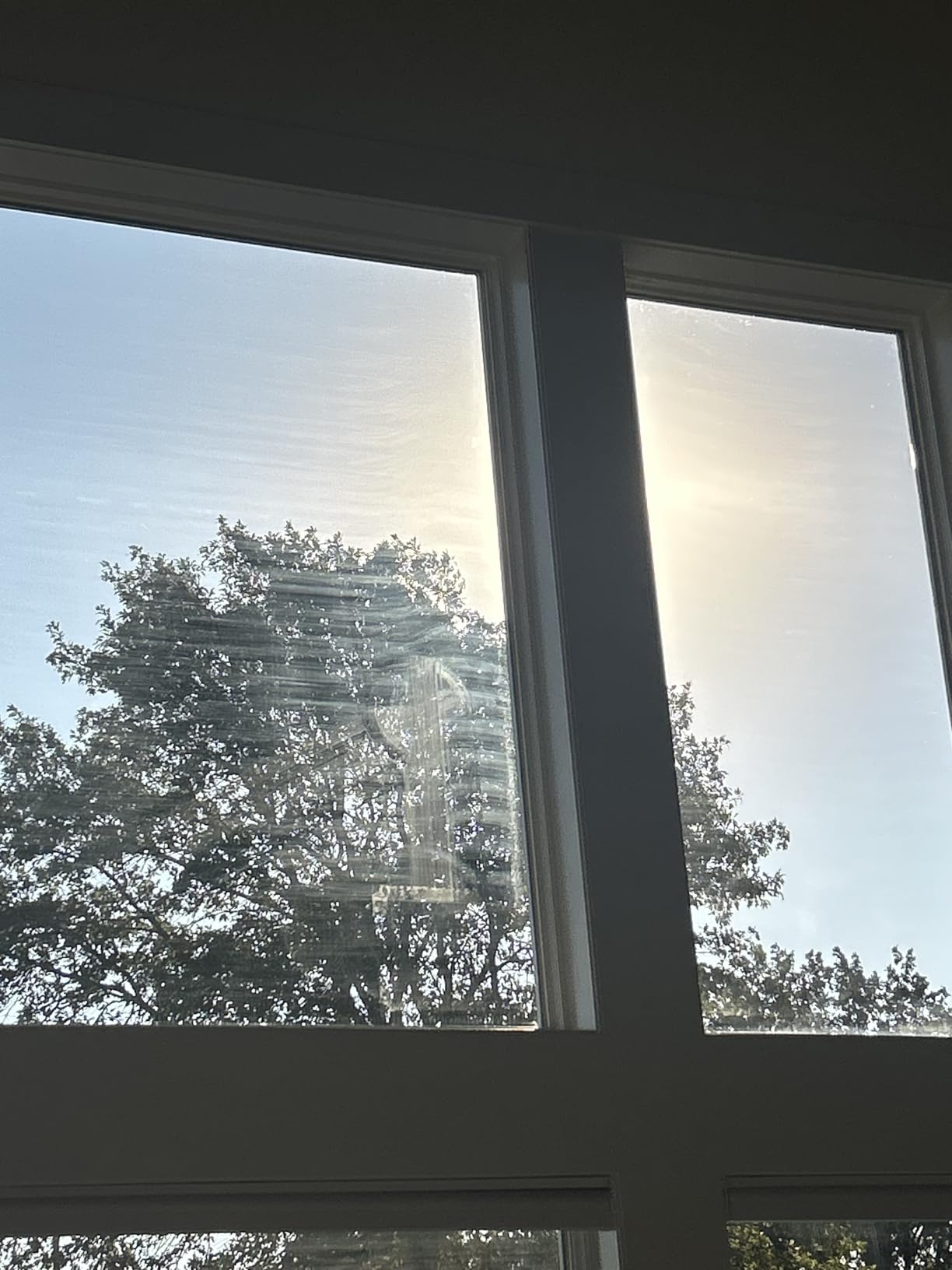 ECOVACS Winbot W1 Pro Window Cleaning Robot, Intelligent Cleaning with Dual Cross Water Spray Technology, Win SLAM 3.0 Path Planning, 2800Pa Suction Power, Edge Detection Technology, App Control, Grey - Customer Photo 2