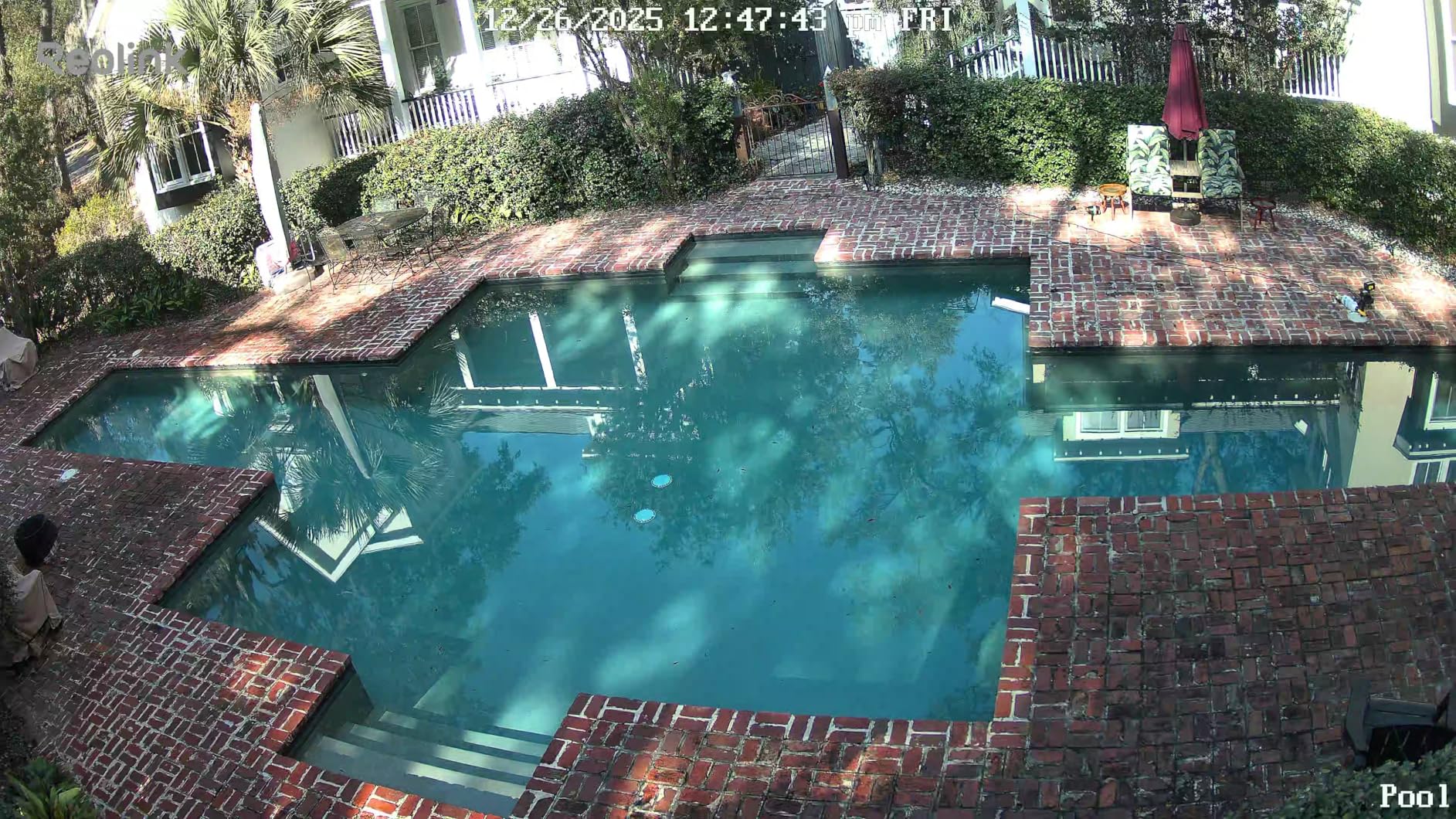 REOLINK First 4K Solar Security Cameras Wireless Outdoor, Argus PT Ultra+Solar Panel, 360° Pan Tilt Auto-Tracking, 8MP Color Night Vision, 2.4/5 GHz Wi-Fi 6, No Subscriptions, Home Hub Compatible - Customer Photo 2