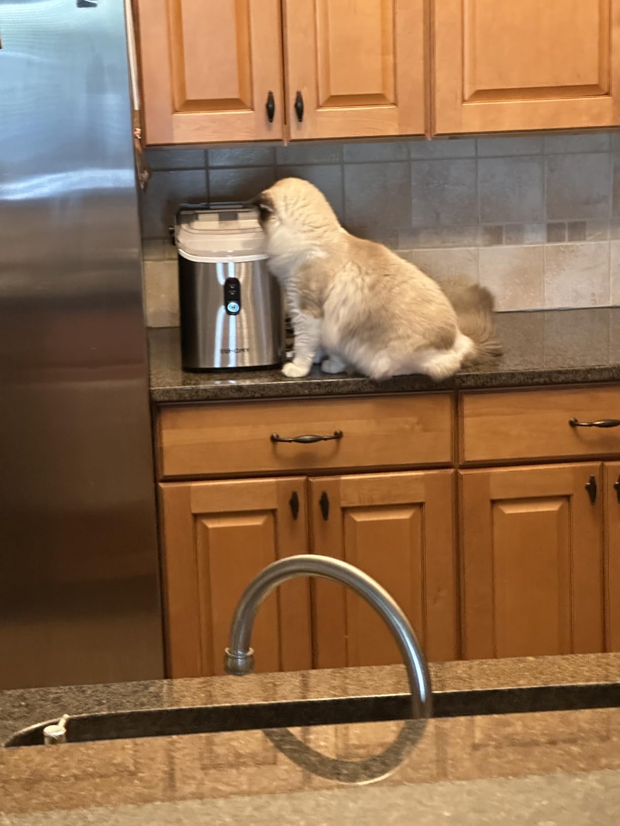 EUHOMY Nugget Ice Maker Countertop with Handle, Ready in 6 Mins, 34lbs Per Day, Removable Top Cover, Auto-Cleaning, Portable Sonic Ice Maker with Basket and Scoop, for Home/Party/RV/Camping (Black) - Customer Photo 2