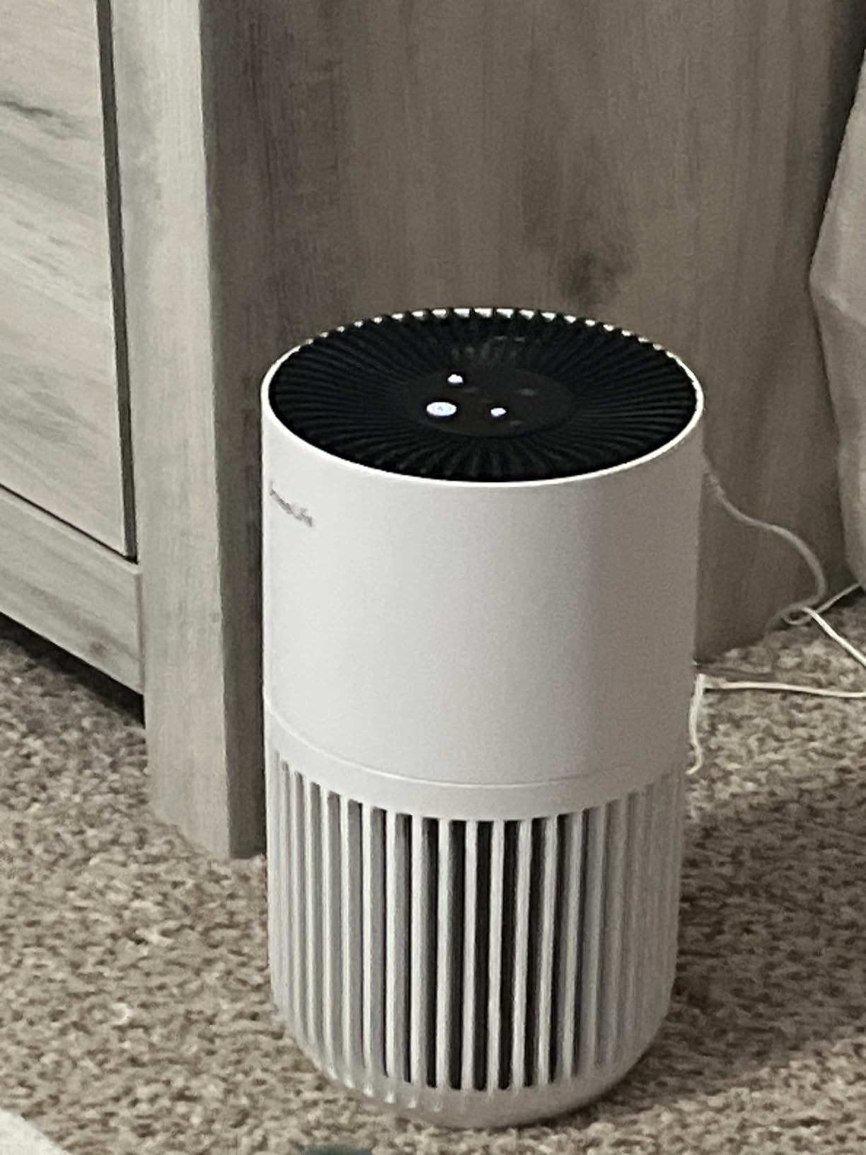 GoveeLife Mini Air Purifier for Bedroom, Smart Filter Air Purifier with App Alexa Control for Pet Hair, Odors, Pollen, HEPA Portable Air Cleaner with 3 Speeds, 2 Modes, Timer, Aroma for Home - Customer Photo 1