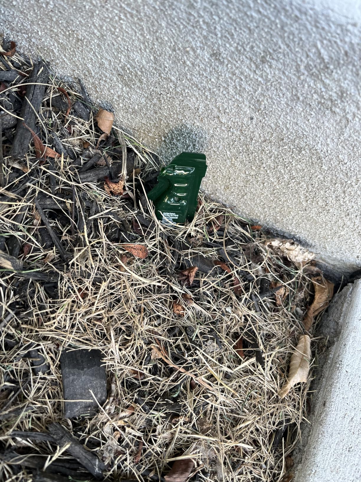 TERRO Liquid Ant Baits - T1813B - Outdoor Ready-to-Use Terro Ant Traps, Kills Household Ants, 12 Stakes - Customer Photo 2