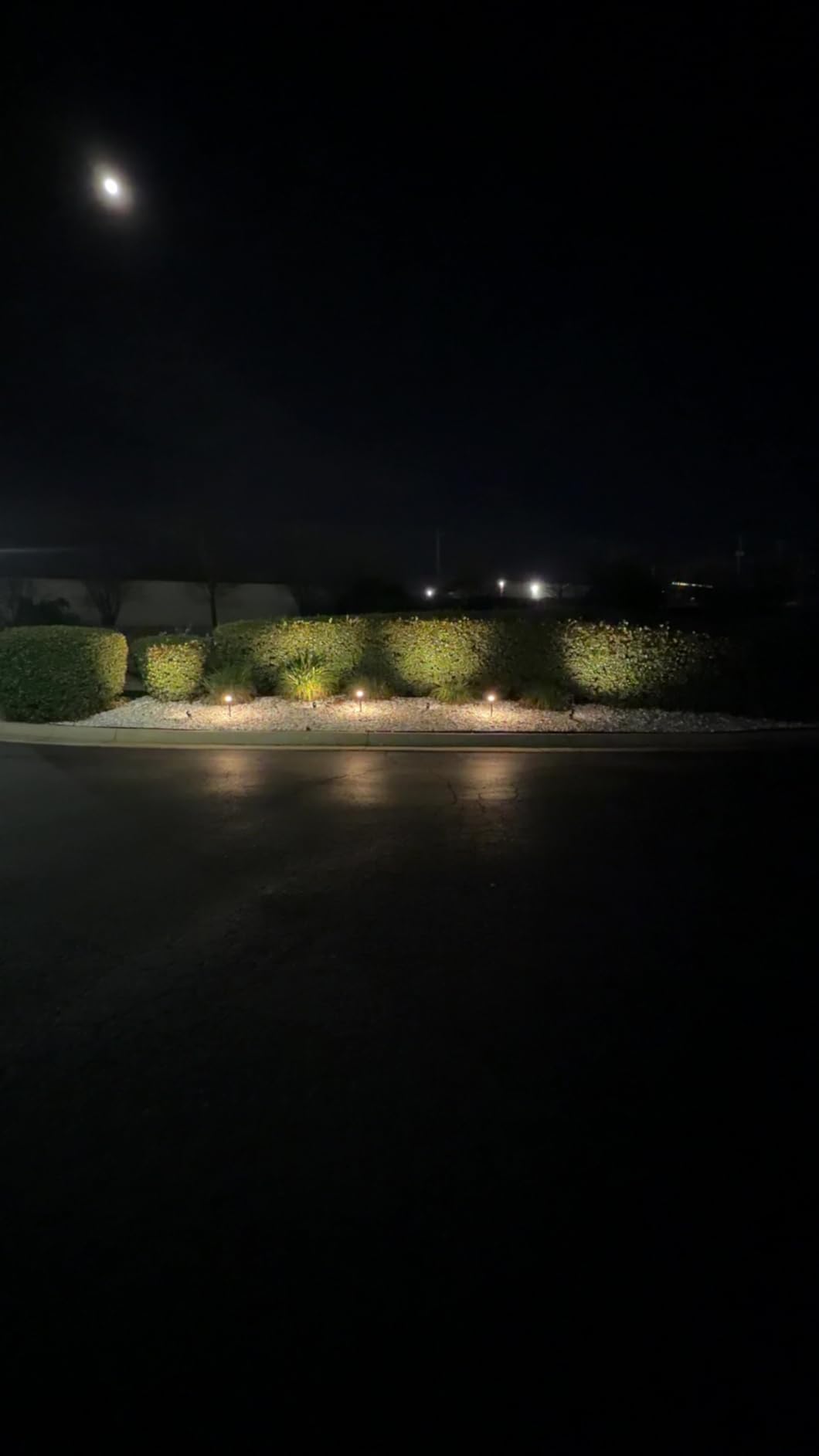 SUNVIE LED Low Voltage Landscape Lighting 12V Landscape Lighting Kit with Connectors, Low Voltage Pathway Lights with Spotlights Aluminum Pathway Lights Wired Waterproof for Patio Yard Garden, 12 Pack - Customer Photo 1