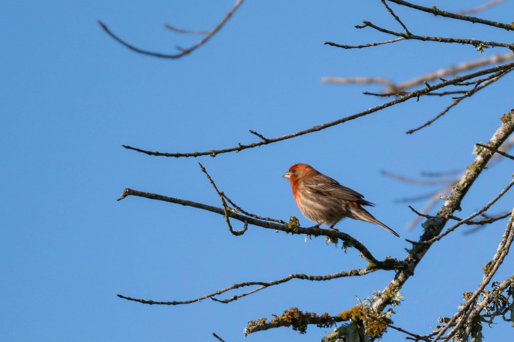 Product - Customer Photo 5