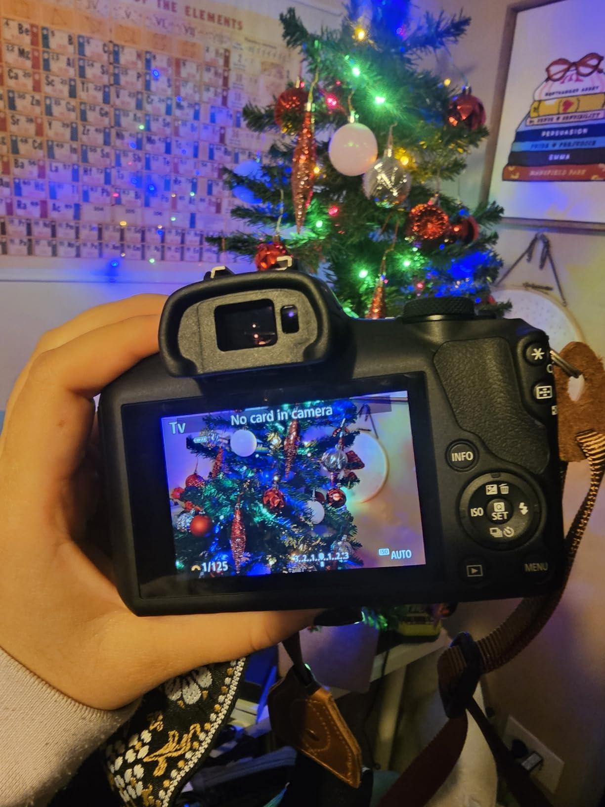 Canon EOS R100 Mirrorless Camera with RF-S18-45mm Lens - Customer Photo 1