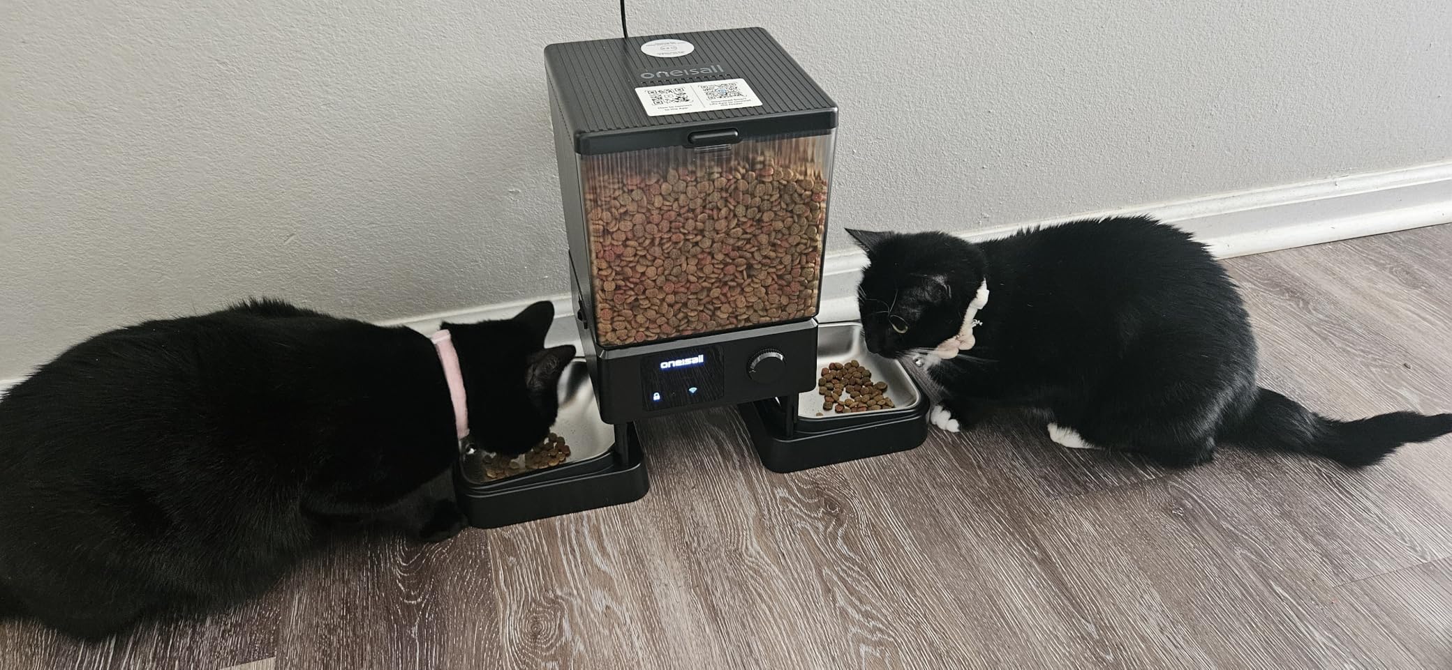 oneisall Automatic Cat Feeder with 5G WiFi, Automatic Cat Food Dispenser for 2 Cats Small Pets, 20 Cups/5L Timed Dry Food Dispenser with APP Control - Customer Photo 2