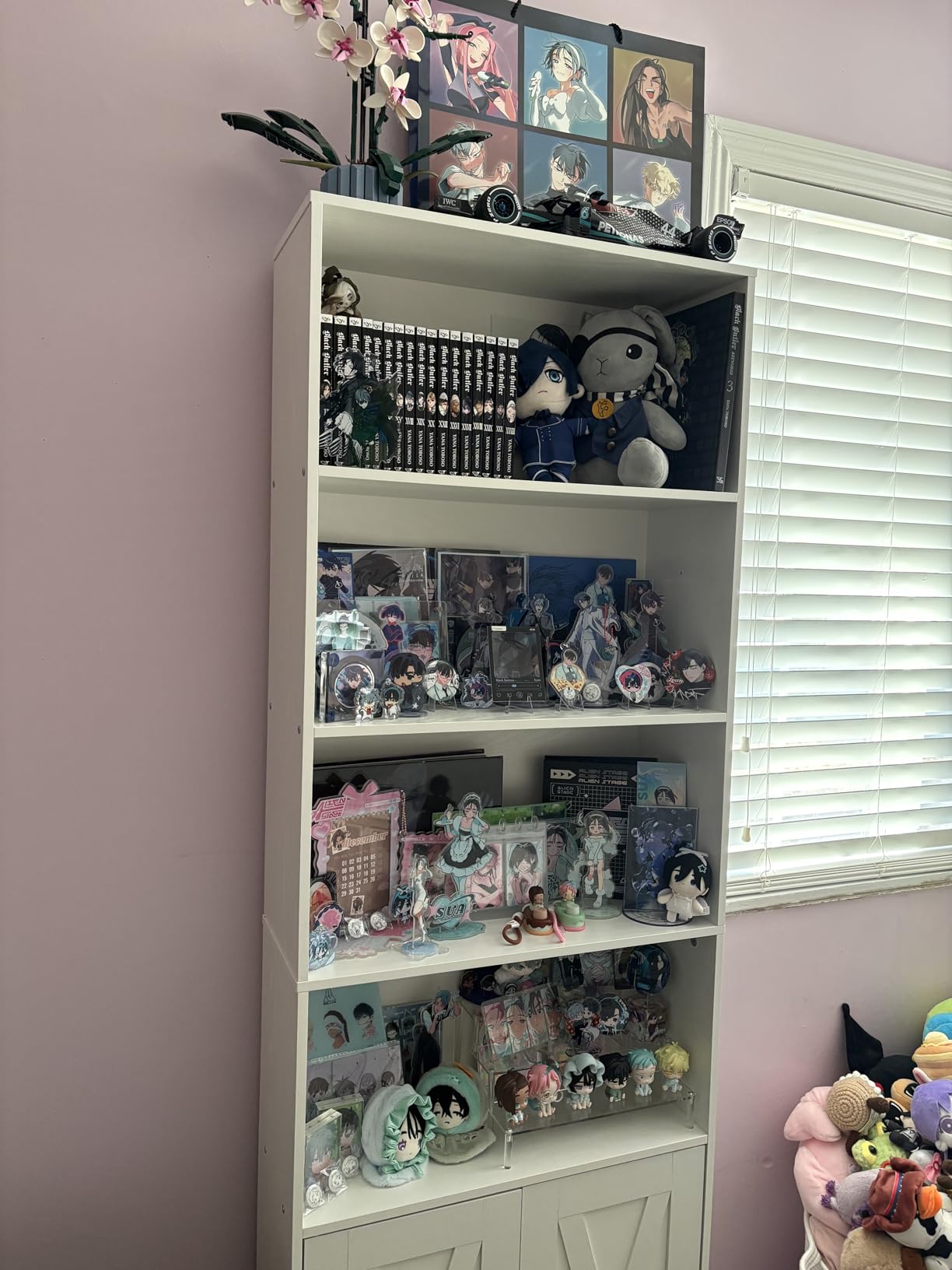 IRONCK Industrial Bookshelves and Bookcases with Doors Floor Standing 6 Shelf Display Storage Shelves 70 in Tall Bookcase for Home Office, Living Room - Customer Photo 2