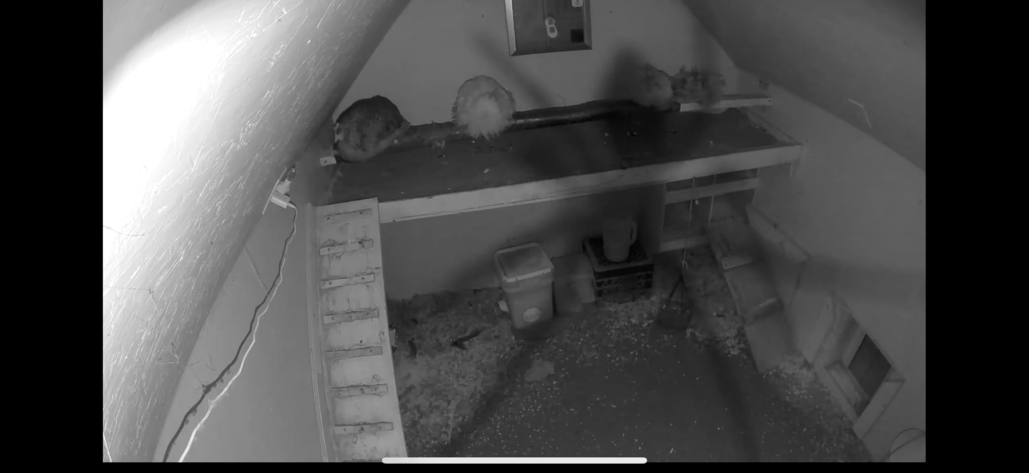 Arlo Essential Security Camera 2K | Indoor Only| 2nd Gen | Baby Monitor & Pet Camera | Wired Automated Privacy Shield, 2-Way Audio, Night Vision, Live Stream, Motion Alerts & Notifications White,1 Cam - Customer Photo 1