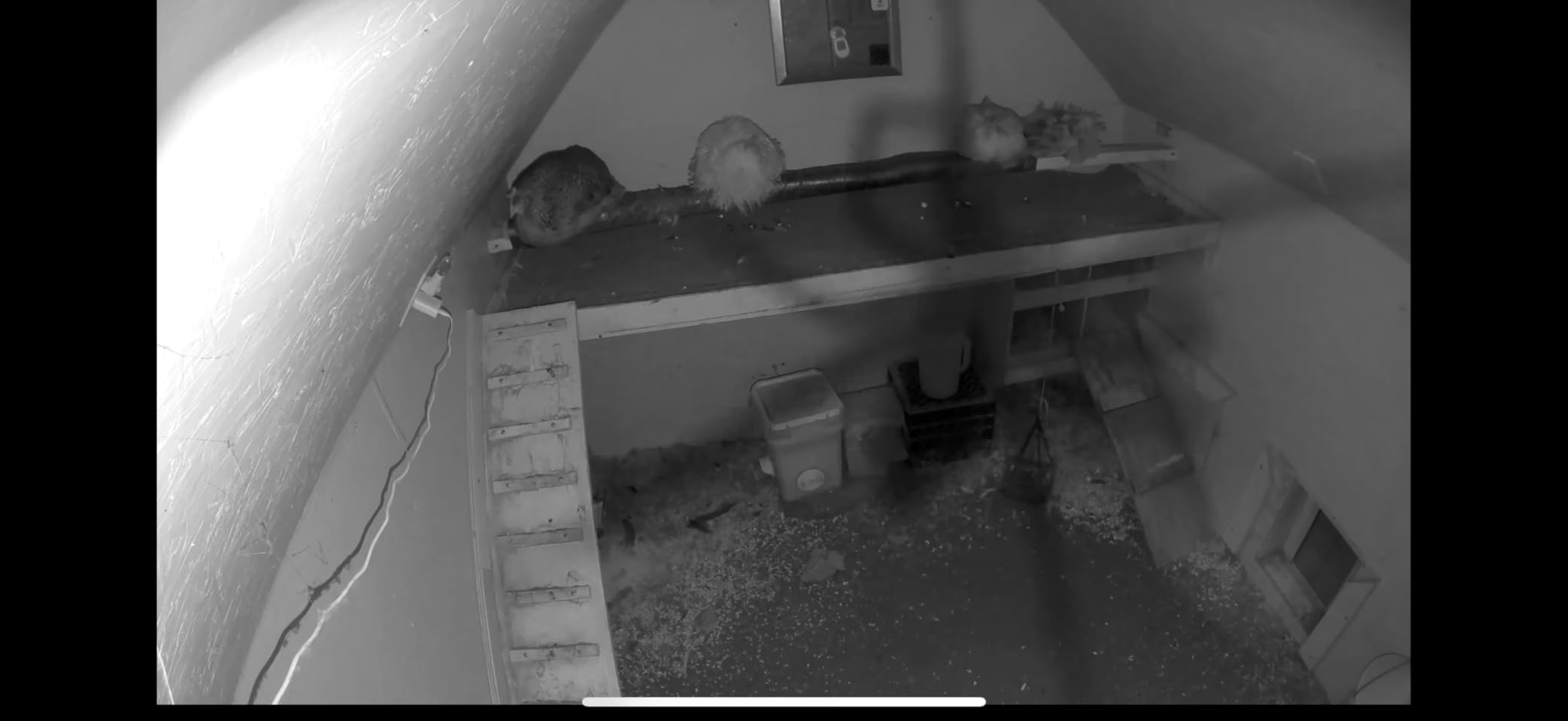 Arlo Essential Security Camera 2K | Indoor Only| 2nd Gen | Baby Monitor & Pet Camera | Wired Automated Privacy Shield, 2-Way Audio, Night Vision, Live Stream, Motion Alerts & Notifications White,1 Cam - Customer Photo 2