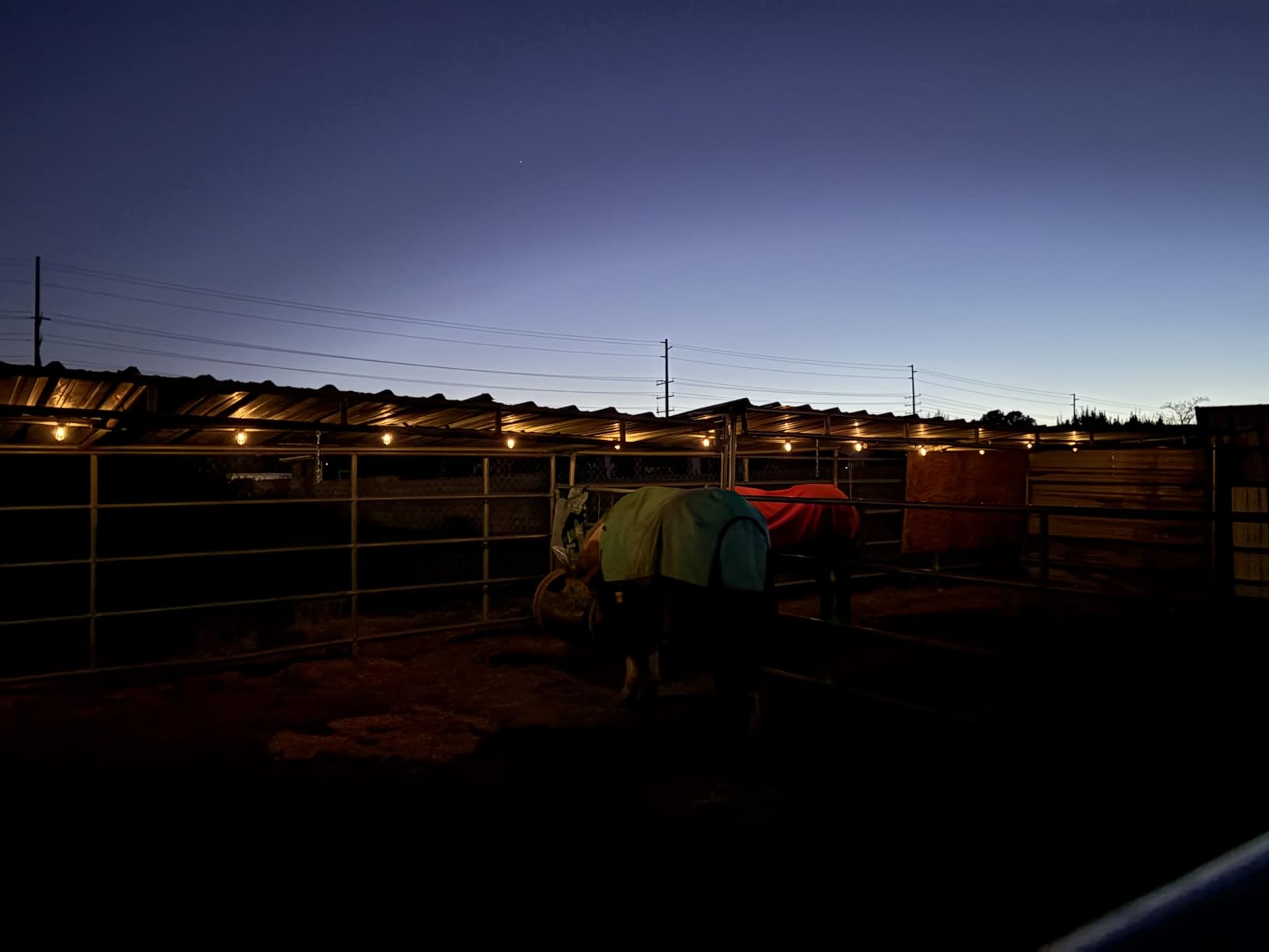 addlon 54(48+6) FT Solar String Lights Waterproof,Patio Lights Solar Powered with Remote & USB Port 15+1 LED Shatterproof Bulbs 3 Light Modes, Dimmable Solar Light for Camping Backyard Garden - Customer Photo 1