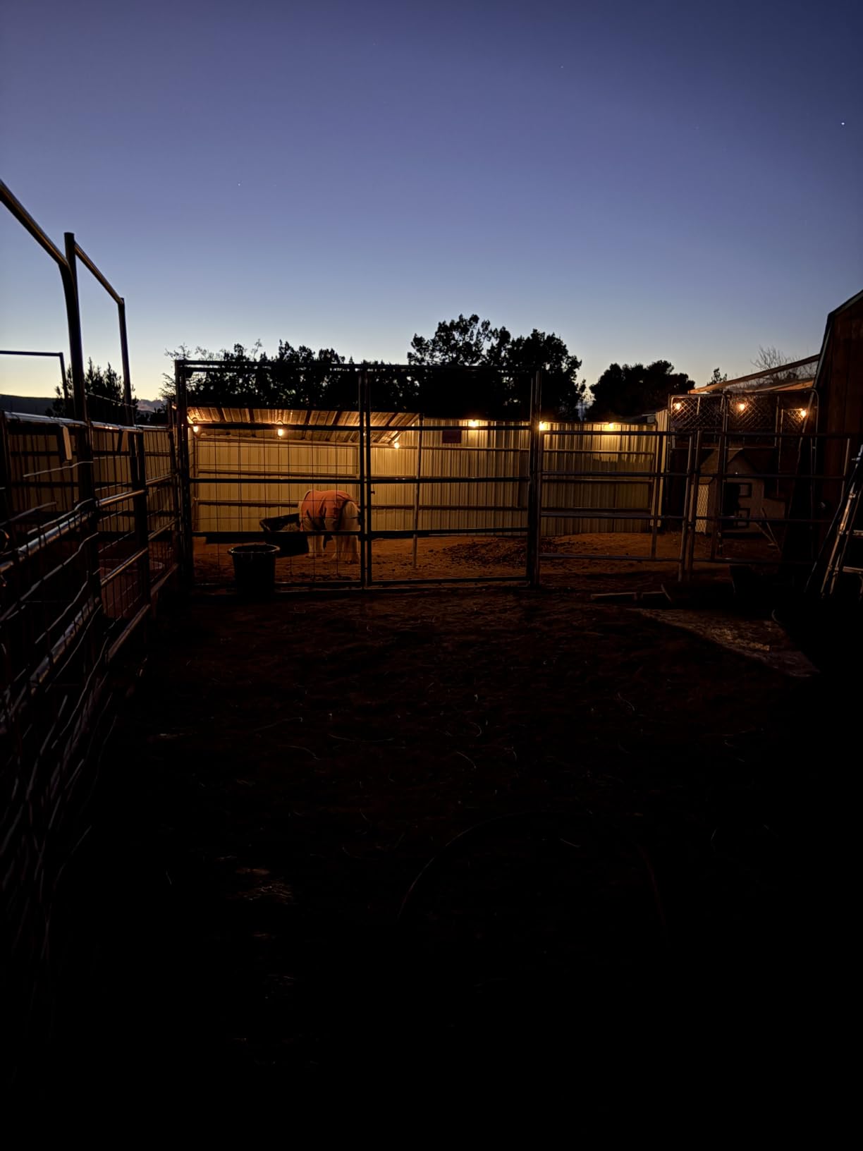 addlon 54(48+6) FT Solar String Lights Waterproof,Patio Lights Solar Powered with Remote & USB Port 15+1 LED Shatterproof Bulbs 3 Light Modes, Dimmable Solar Light for Camping Backyard Garden - Customer Photo 2