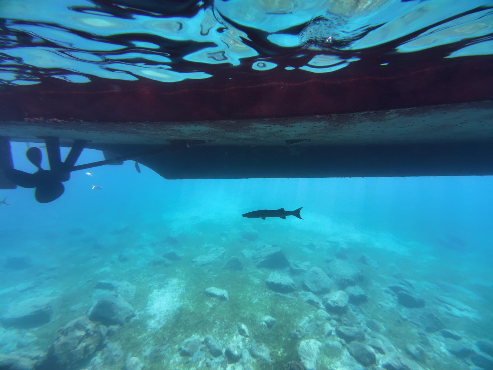 DJI Osmo Action 4 Standard Combo, 4K/120fps Waterproof Action Camera with a 1/1.3-Inch Sensor, Stunning Low-Light Imaging, 10-bit & D-Log M Color Performance - Customer Photo 5