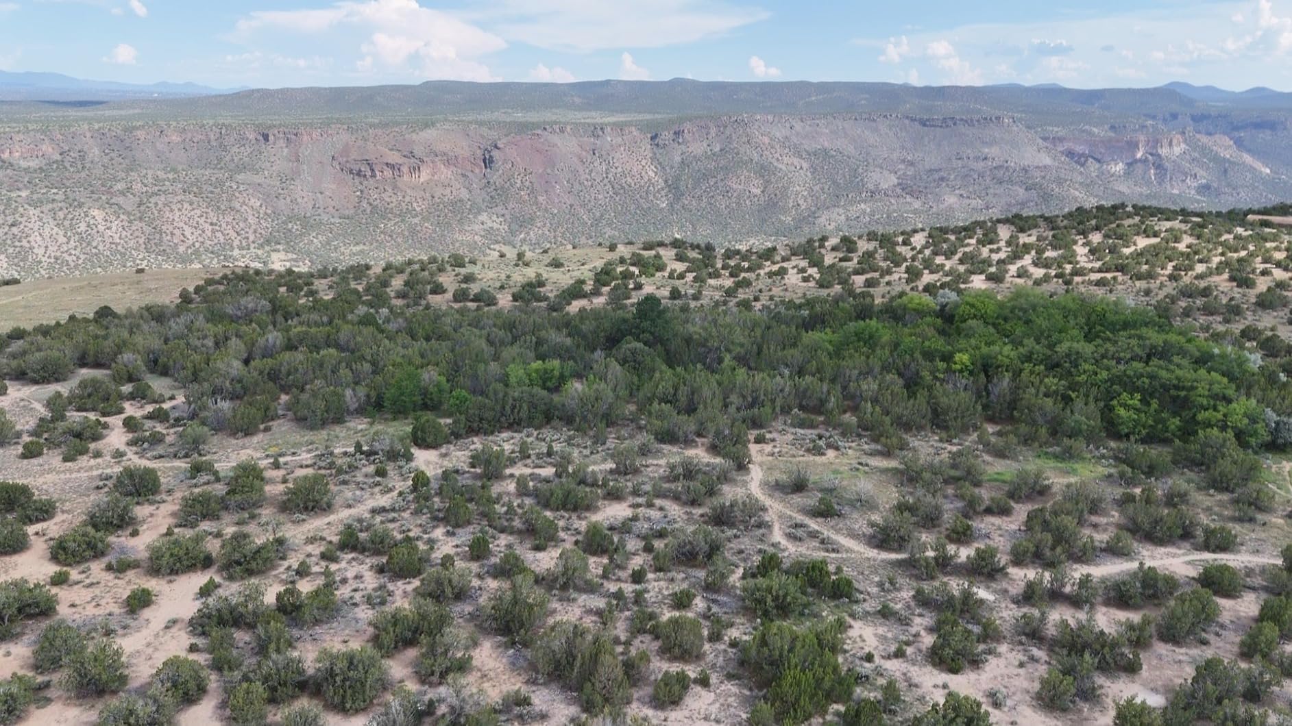 DJI Air 3 (DJI RC-N2), Drone with Medium Tele & Wide-Angle Dual Primary Cameras, 46-Min Max Flight Time, Omnidirectional Obstacle Sensing, 48MP Photos, 4K/60fps HDR, Compliance with FAA Remote ID - Customer Photo 4