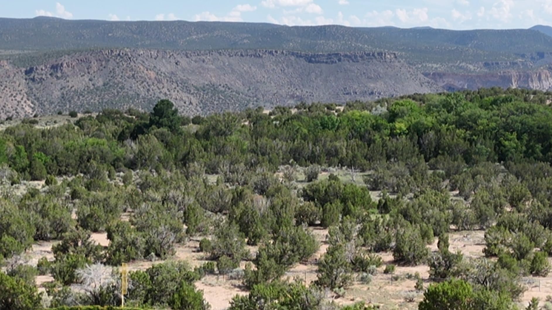 DJI Air 3 (DJI RC-N2), Drone with Medium Tele & Wide-Angle Dual Primary Cameras, 46-Min Max Flight Time, Omnidirectional Obstacle Sensing, 48MP Photos, 4K/60fps HDR, Compliance with FAA Remote ID - Customer Photo 5