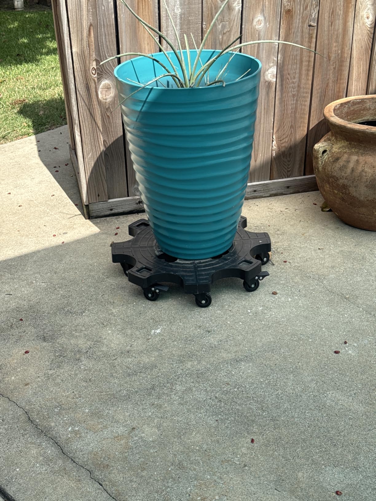 20 Inch Plant Caddy With Wheels - Heavy Duty Outdoor Indoor Rolling Plant Stand With Casters Black Plant Dolly Large Potted Planter Cart For Big Flower Pots Plants Pots, Heart Shaped Garden Pot Mover - Customer Photo 2