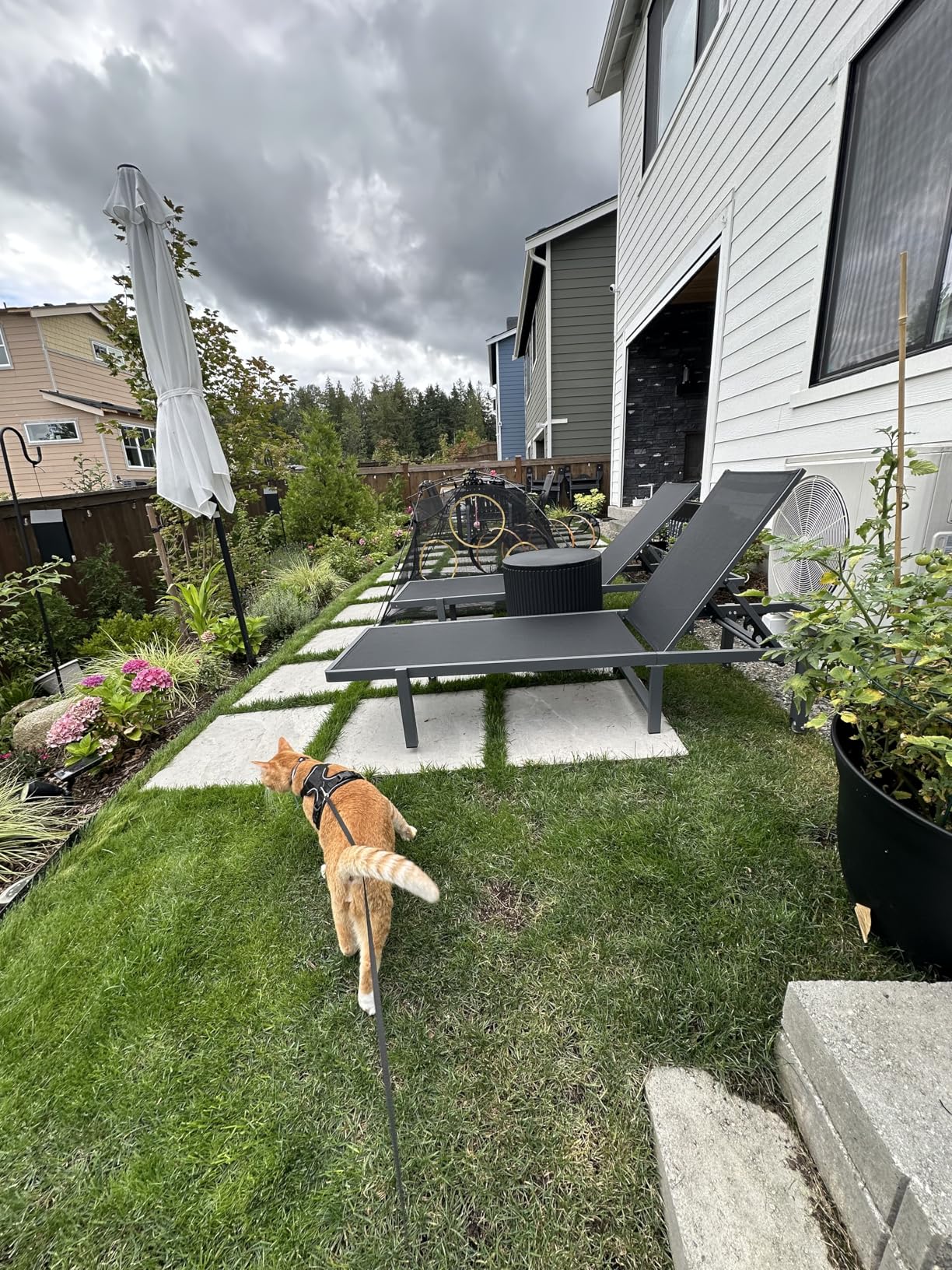 Ciokea Aluminum Chaise Lounge Chair Outdoor with Wheels, Patio Lounge Chair with Adjustable 5-Position Recliner and Full Flat Tanning Chair for Patio, Beach, Pool, Khaki - Customer Photo 2