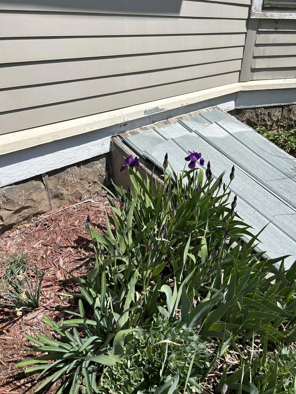 Rain Bird DRIPKITBAG Drip Irrigation Repair and Expansion Kit - Customer Photo 1