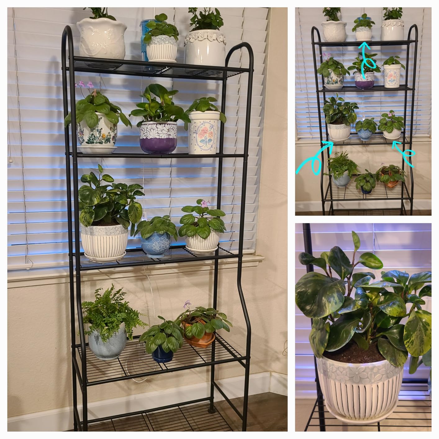 Ceramic Plant Pots Set of 3, 6.75/5.6/4.2 inch Planters with Drainage Holes and Saucer, Flower Pot Outdoor Indoor, Modern Decorative Planters for House Plants Garden Planters Succulent Pots - Customer Photo 2