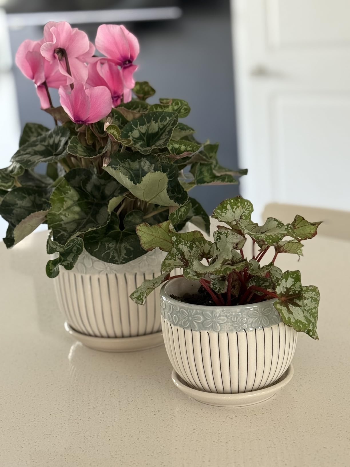 Ceramic Plant Pots Set of 3, 6.75/5.6/4.2 inch Planters with Drainage Holes and Saucer, Flower Pot Outdoor Indoor, Modern Decorative Planters for House Plants Garden Planters Succulent Pots - Customer Photo 4