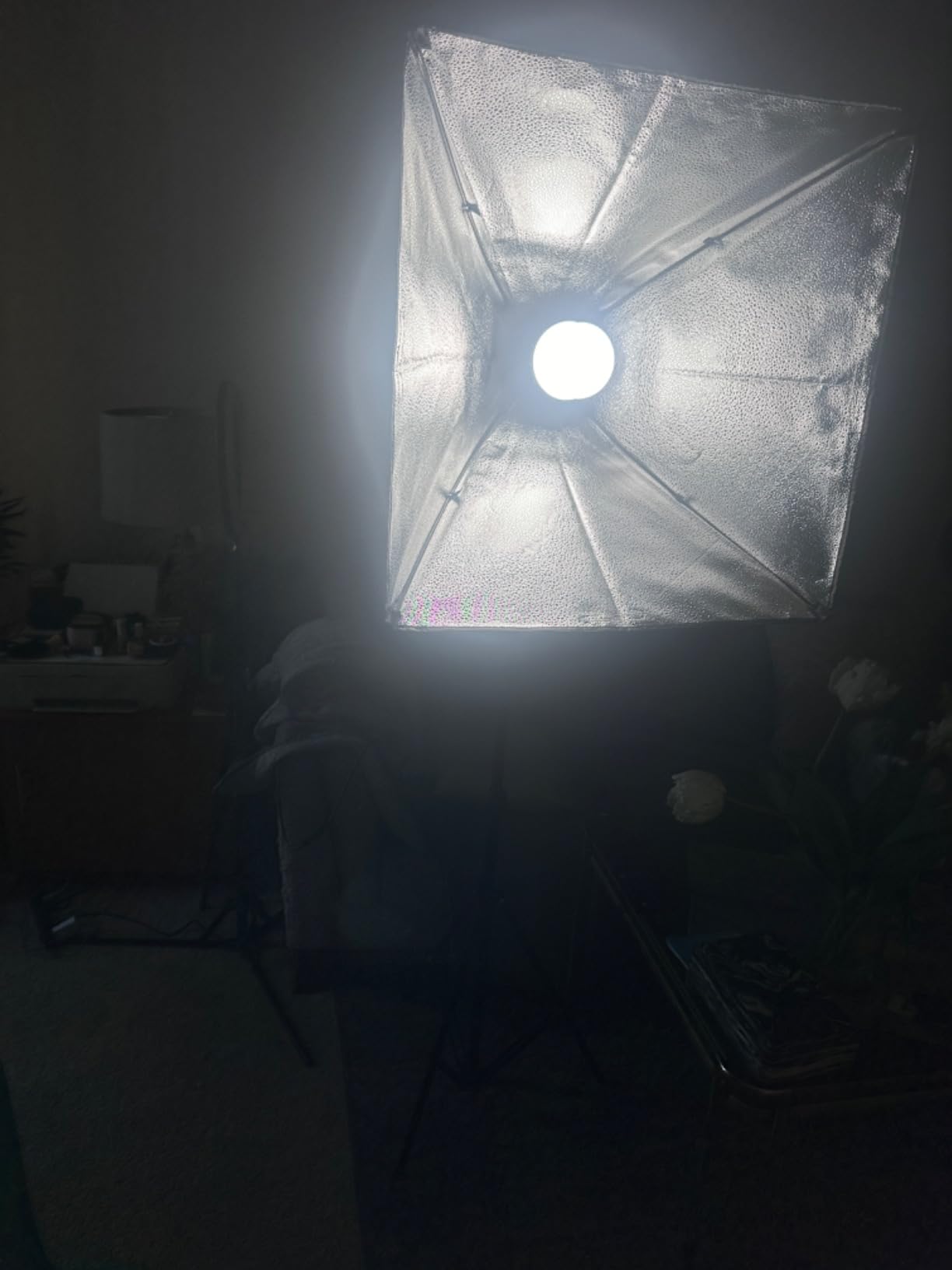 NEEWER 2 Pack 520W Equivalent RGB Softbox Lighting Kit with App Control & 9 Effects, 26W LED Bulbs CRI93+ TLCI98+, E26 Porcelain Sockets, 24