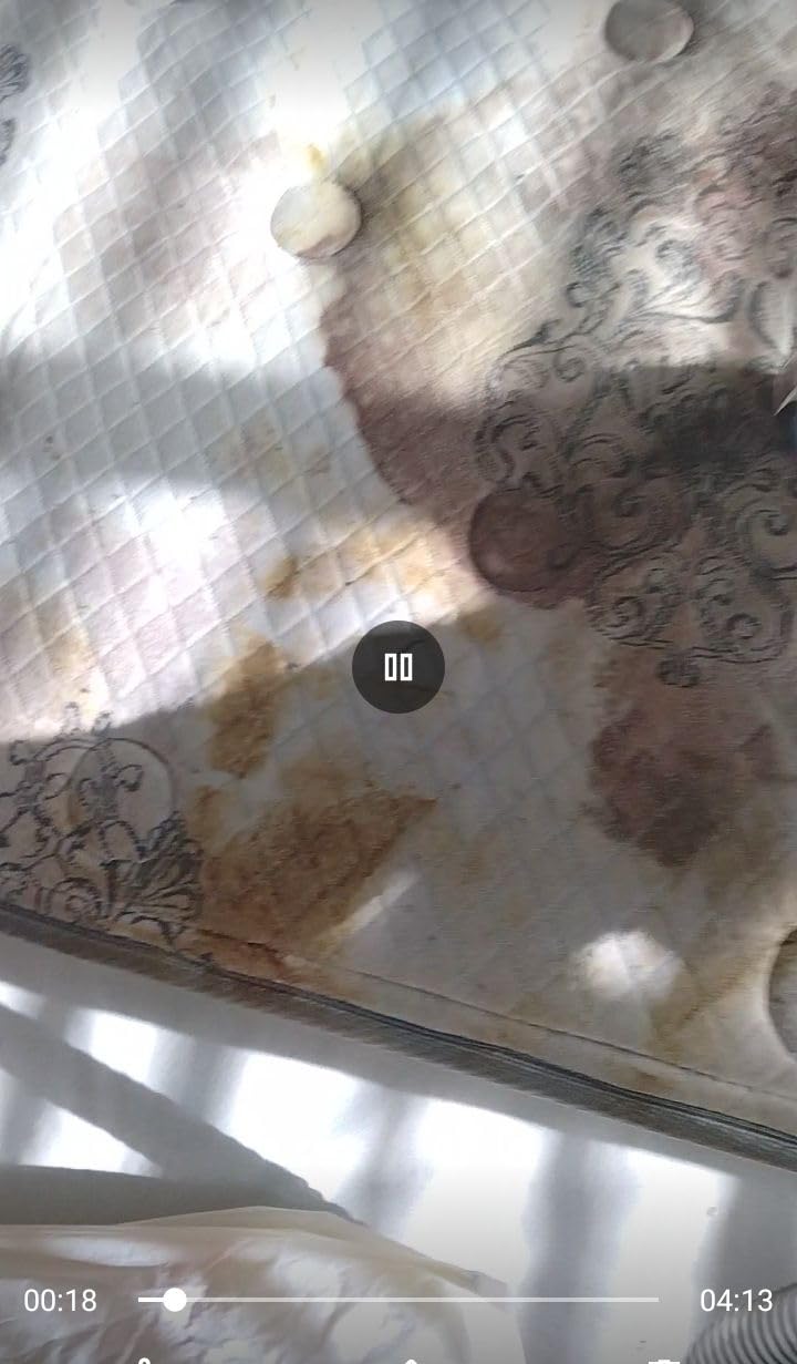 Shark StainStriker Portable Carpet Upholstery & Area Rug Cleaner, Stain & Odor Remover, Perfect for Car Interiors, Nordic Blue, PX202BRN - Customer Photo 4