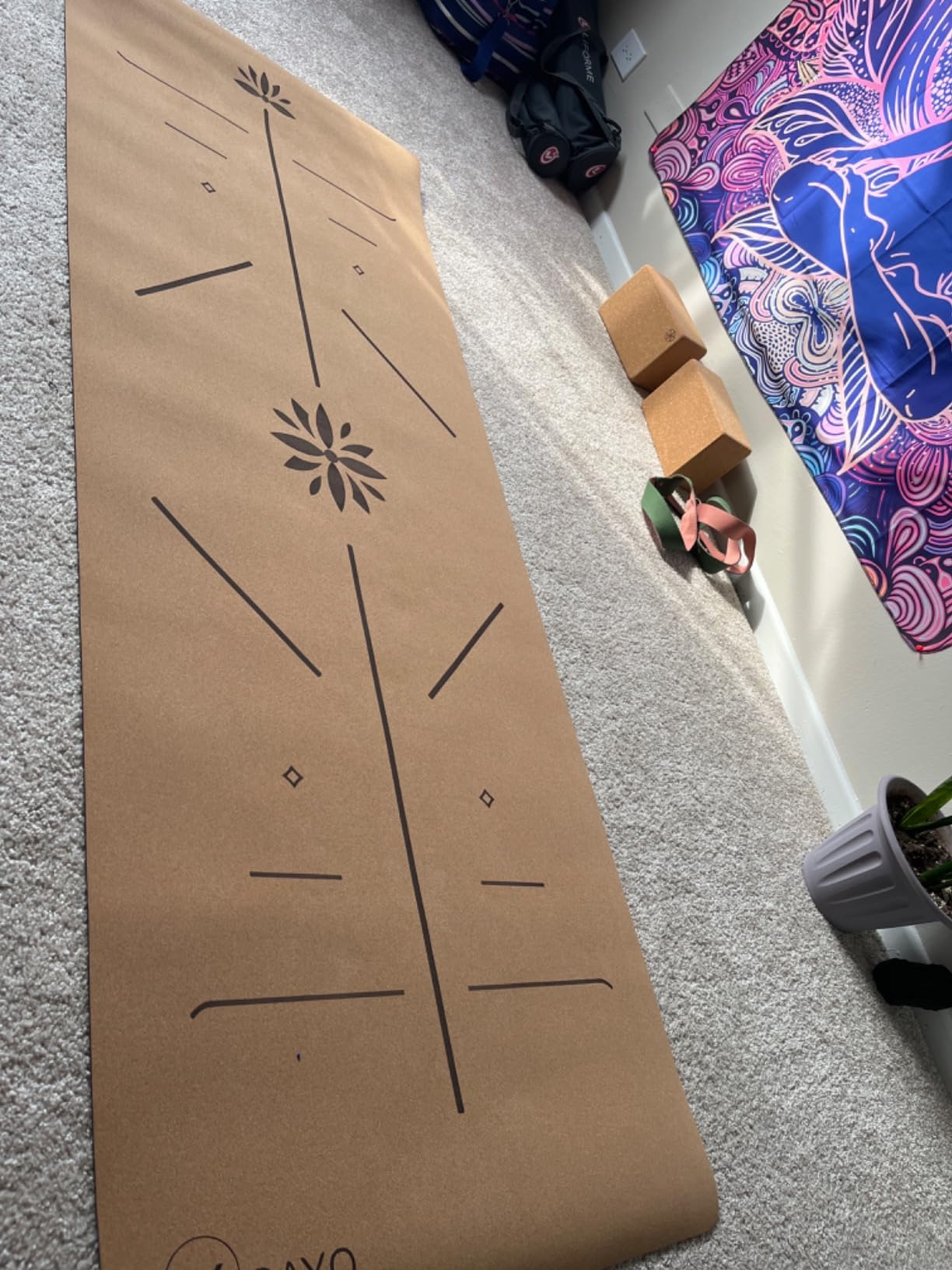 Y O Gayo Premium Yoga Cork Mat | 5mm Thick Natural Tree Rubber Base and Bigger Mat for Extra Support, Alignment lines for Guidance | Non-Slip, Sustainable, Your Ultimate Yoga Companion - Customer Photo 2