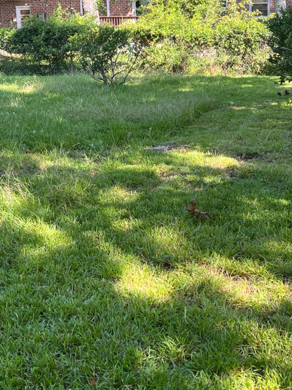 Wild Badger Power 40V 18″ Cordless Lawn Mower Brushless , 5,445 sq ft/0.125 ac, 1×4.0Ah Battery & Fast Charger, 5-Position Height ,for Small-to-Medium Lawns - Customer Photo 1