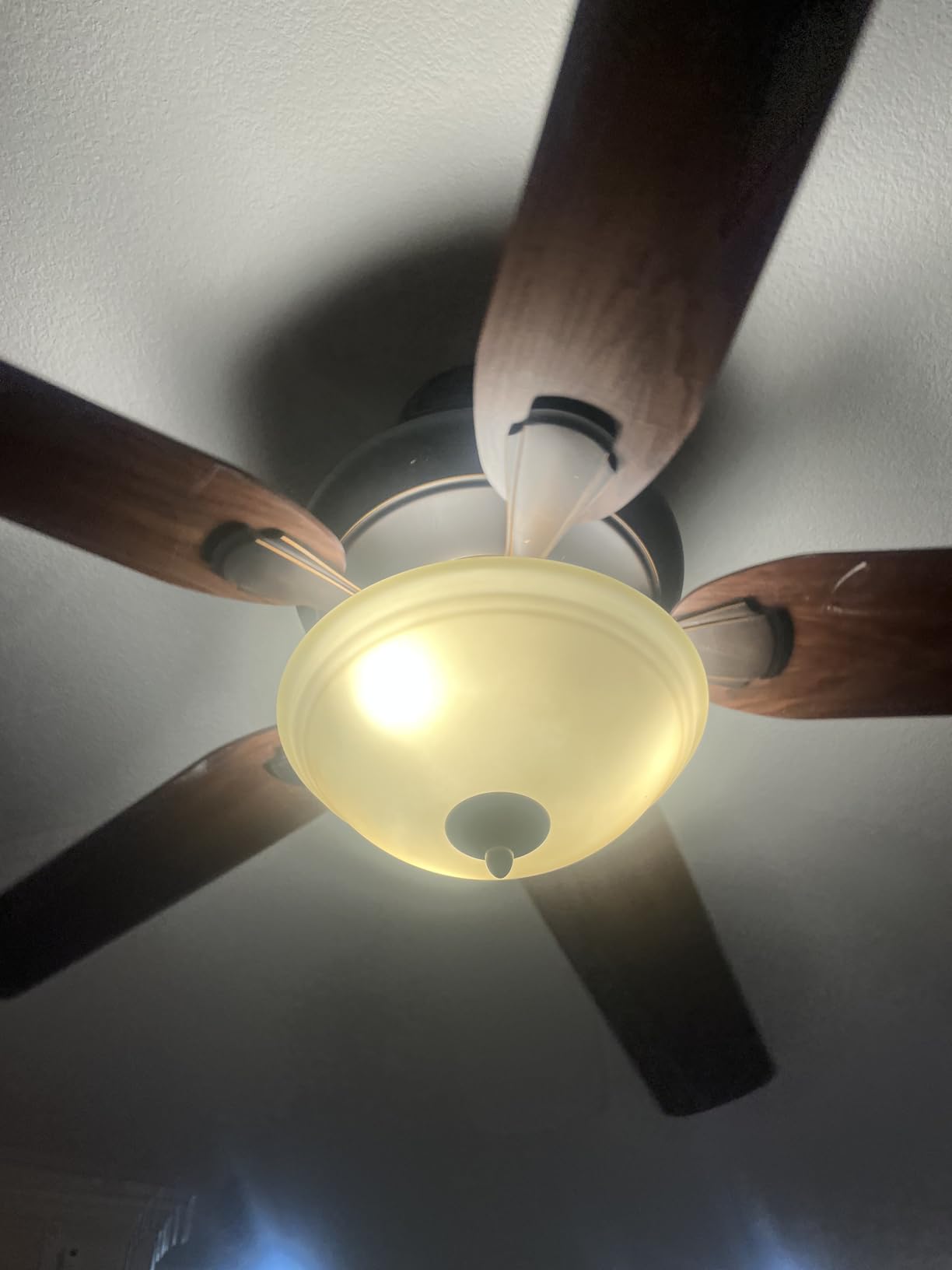 Lightinginside Smart Light Bulbs 6 Pack, Smart Bulb Works with Alexa/Google Home/Smart Life, CRI>90, RGBCW Color Changing LED Light Bulbs, 2.4G WiFi Bluetooth A19 E26 Bulb, No Hub Required, ETL Listed - Customer Photo 1