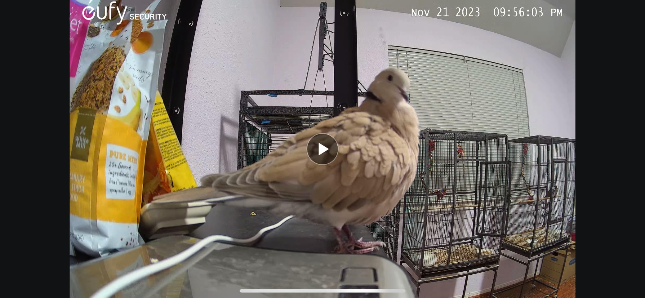 eufy Security Indoor Cam S350, Dual Cameras, 4K UHD Security Camera with 8× Zoom, 360° Camera, Baby Monitor, Pet Camera, Human/Pet Detection, AI Tracking, 2.4G/5G Wi-Fi, Plug in - Customer Photo 1